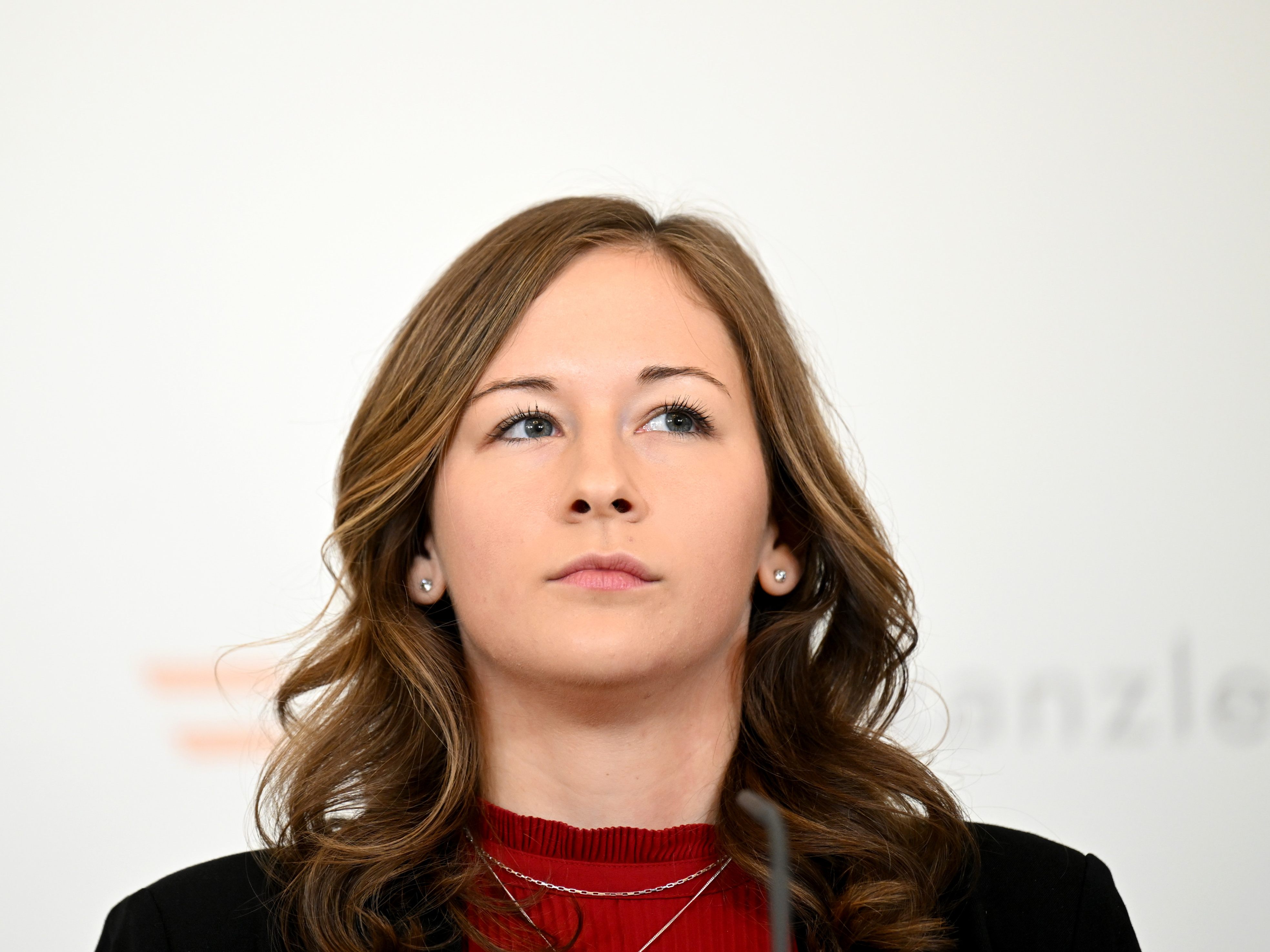 Lehrberufe: Tischlerei und Drechslerei werden laut Plakolm zusammengeführt.