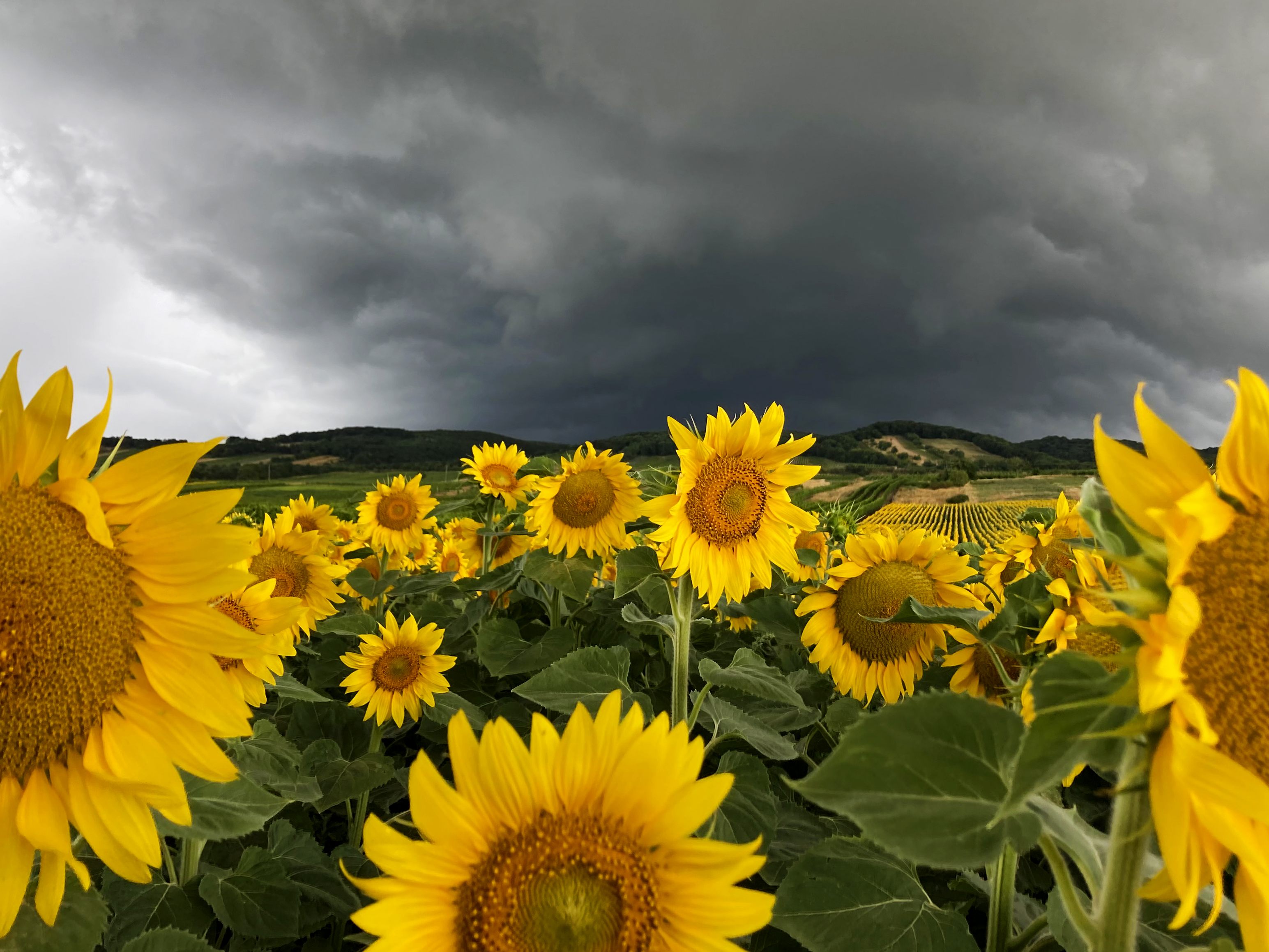 Im Jahr 2021 gab es Kosten aufgrund von Unwetterschäden in Höhe von vier Millionen Euro. Im Jahr 2021 gab es Kosten aufgrund von Unwetterschäden in Höhe von vier Millionen Euro.