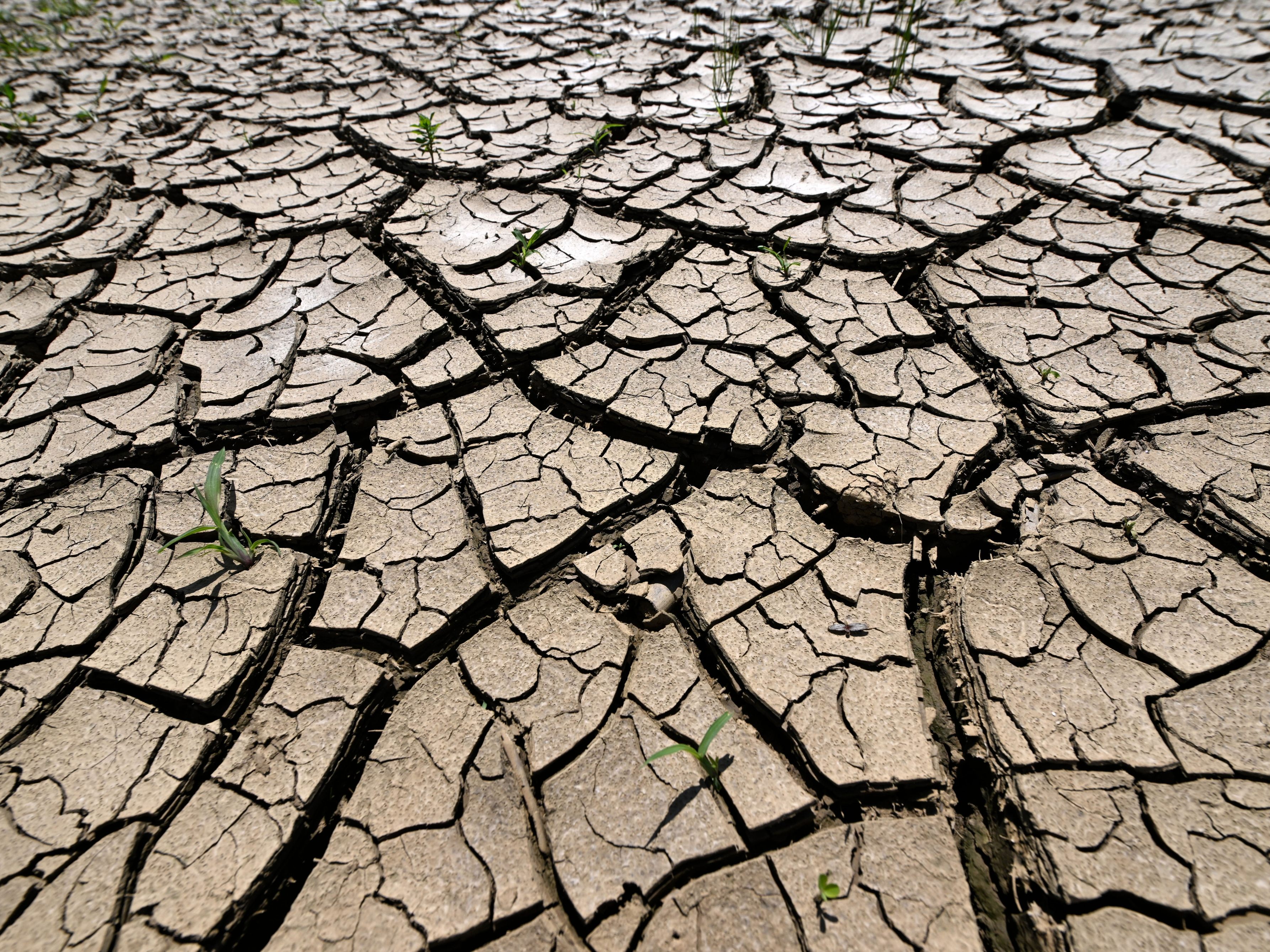 Bei den Firmen herrschet mehr Sorge über die hohen Spritpreise als über den Klimawandel. Bei den Firmen herrschet mehr Sorge über die hohen Spritpreise als über den Klimawandel.
