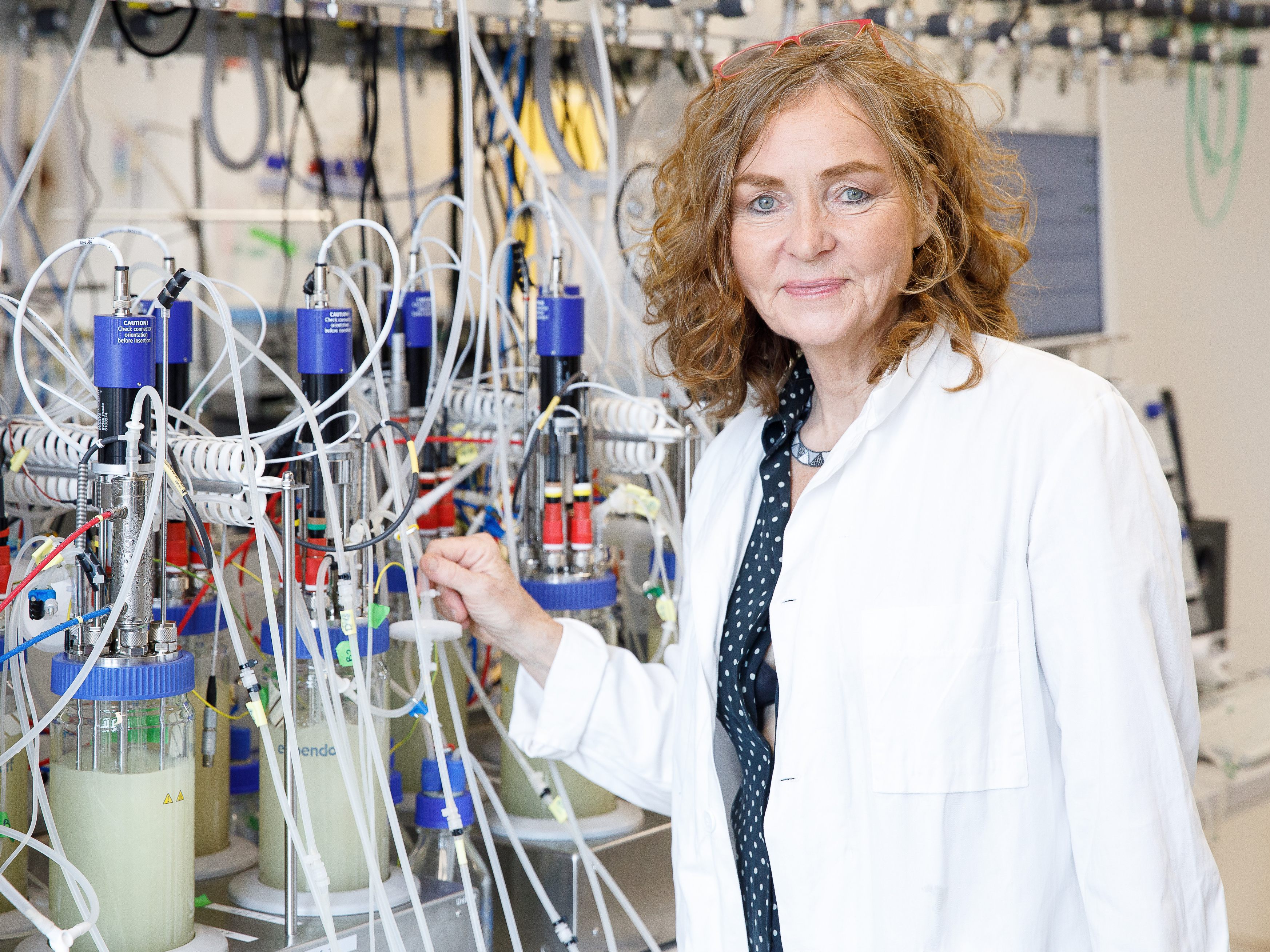 Die Mikrobiologin Christa Schleper von der Universität Wien erhält heuer den "Austro-Nobelpreis"