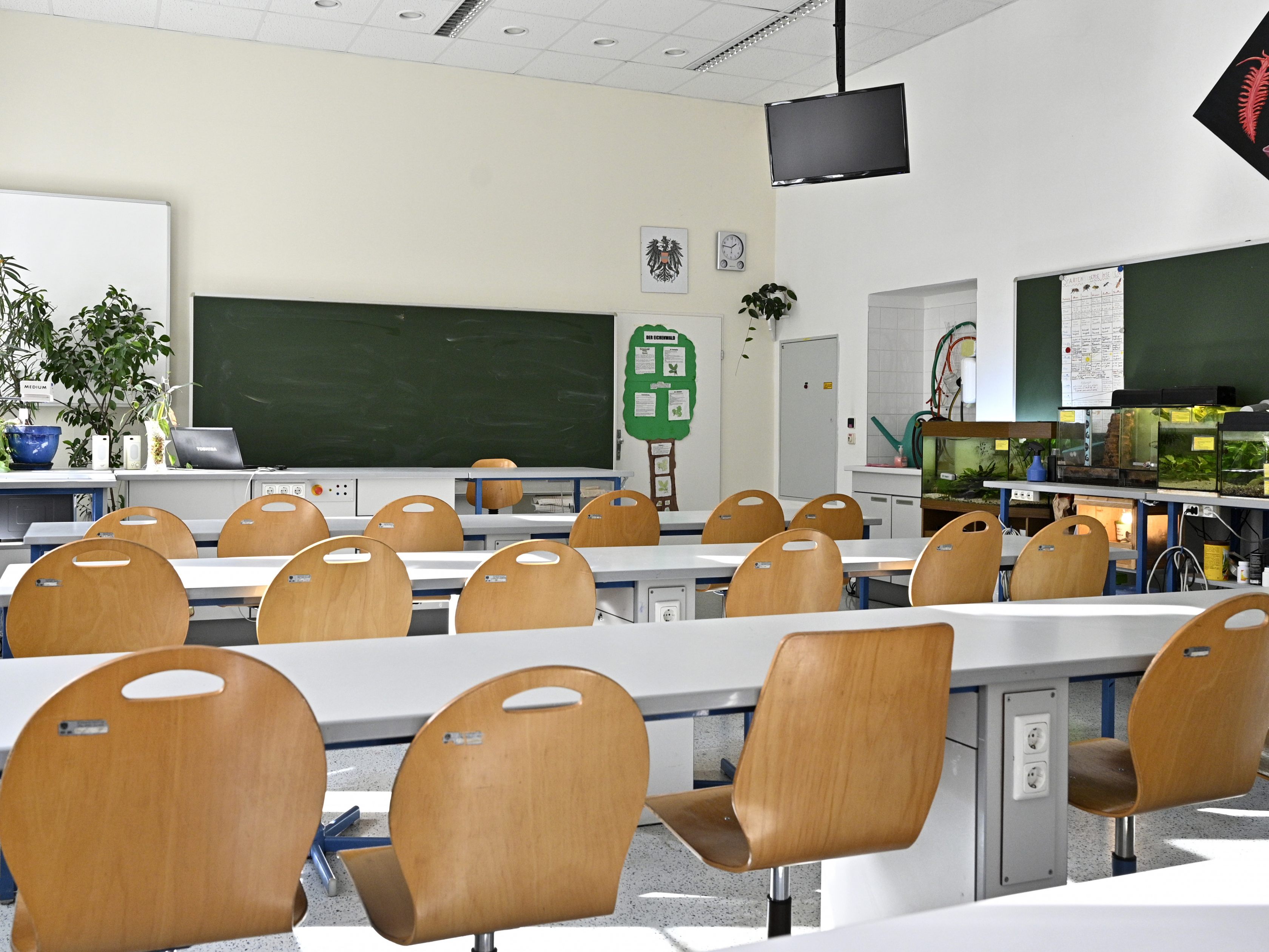 Der häufigste Grund für Diskriminierungen an Schulen ist Rassismus. Der häufigste Grund für Diskriminierungen an Schulen ist Rassismus.