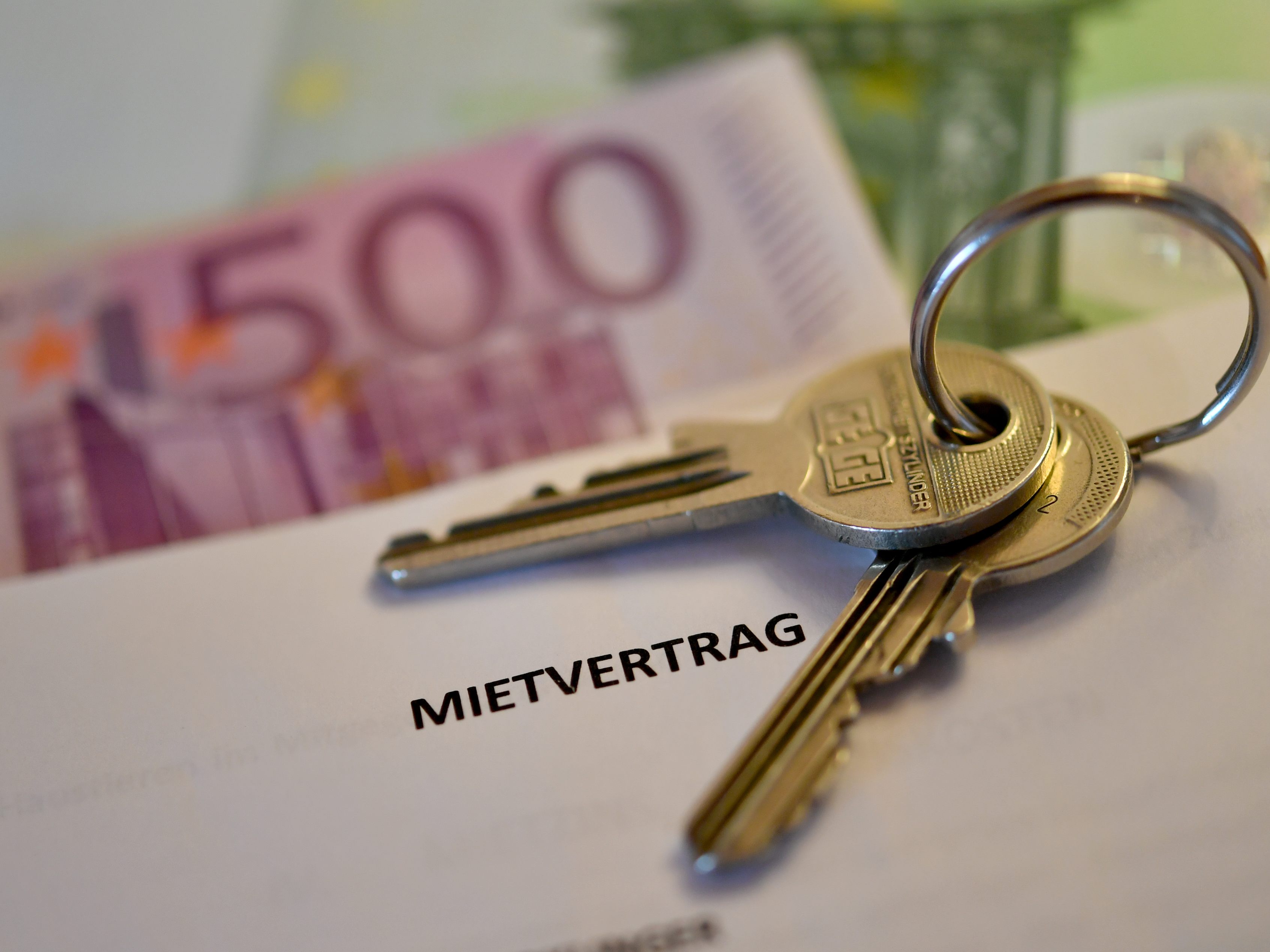 AK: Kategoriemieten könnten heuer ein drittes Mal steigen. AK: Kategoriemieten könnten heuer ein drittes Mal steigen.