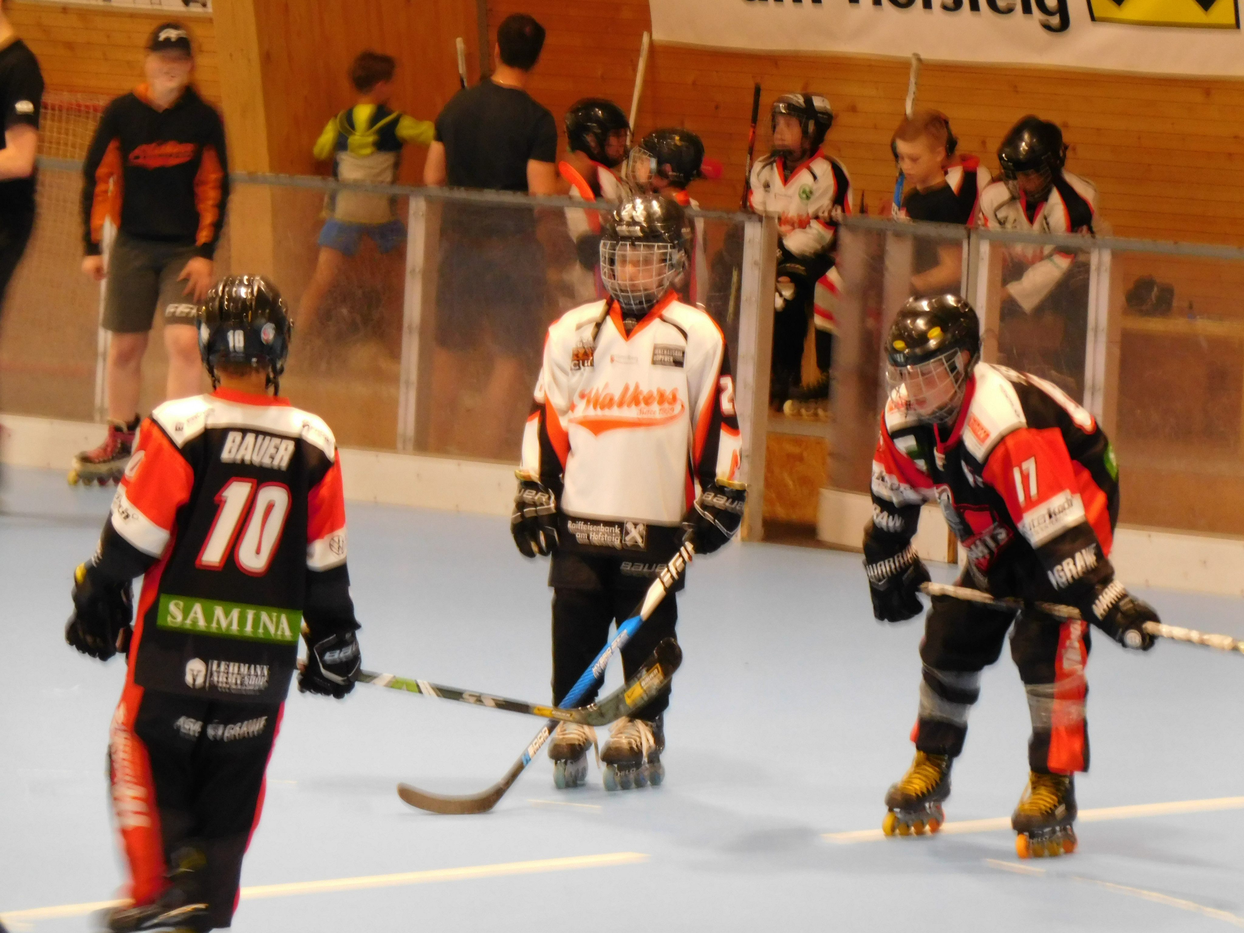 Am Samstag treffen die Youngsters der Knights auf die Wolfurt Walkers Am Samstag treffen die Youngsters der Knights auf die Wolfurt Walkers