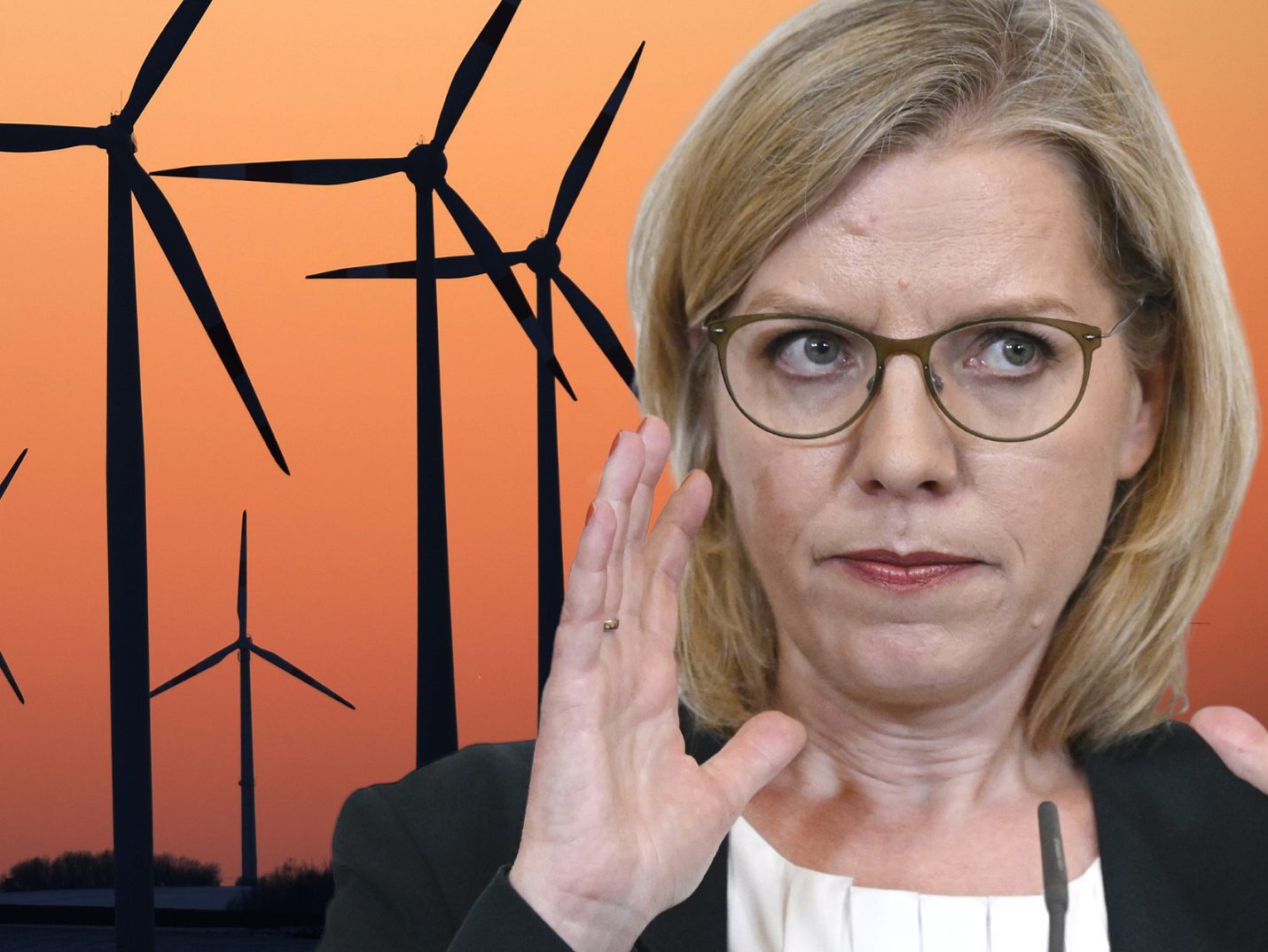 Ausbau von Windparks soll durch weniger Kompetenzen für die Länder beschleunigt werden Ausbau von Windparks soll durch weniger Kompetenzen für die Länder beschleunigt werden