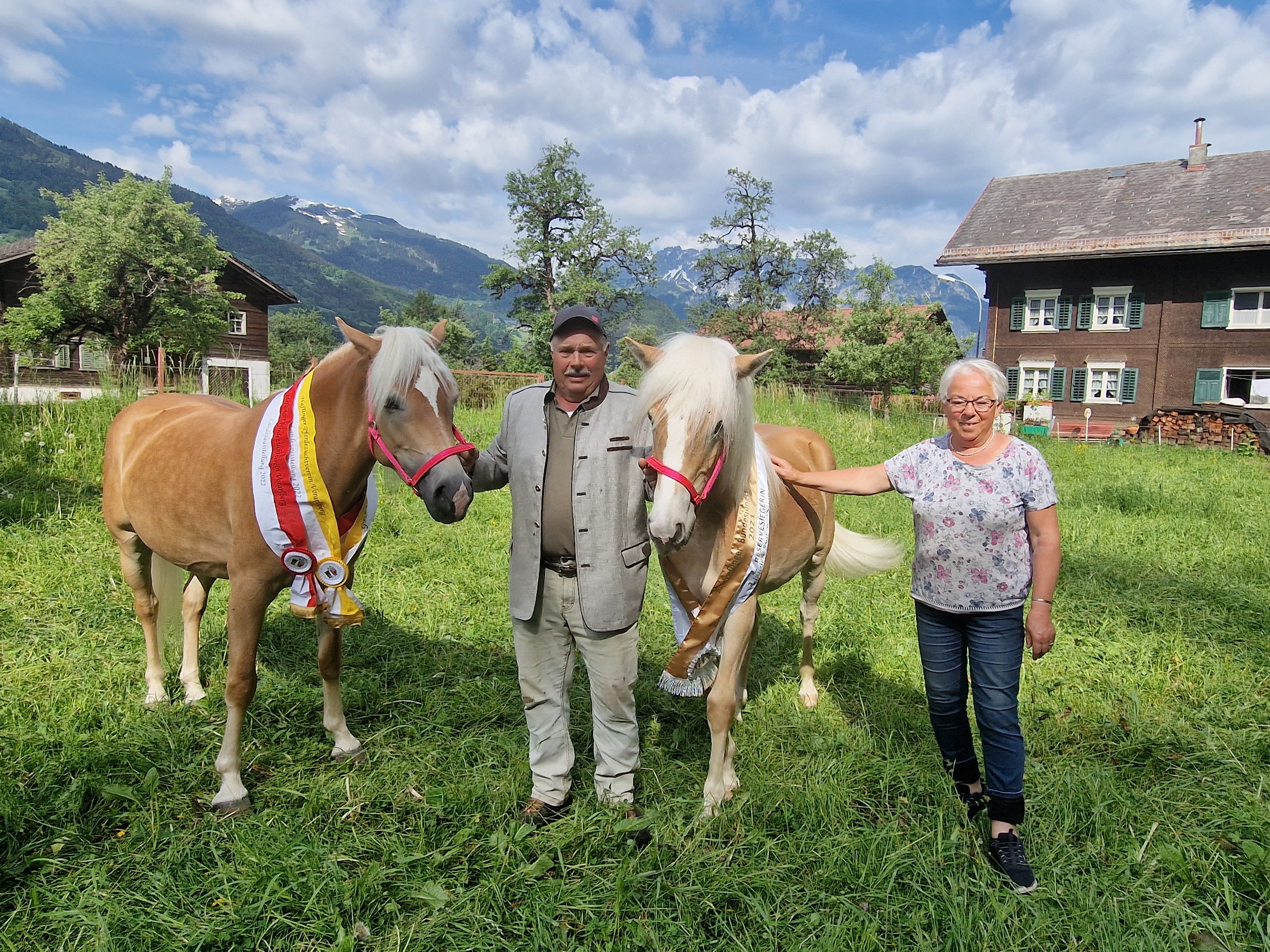 Züchter Alfred Maier mit Miss Silvi und ihrer Prämien Schleife. Auch die Haflingerstute Sorina (hier mit Erika Maier) bekommt eine Schleife. Züchter Alfred Maier mit Miss Silvi und ihrer Prämien Schleife. Auch die Haflingerstute Sorina (hier mit Erika Maier) bekommt eine Schleife.