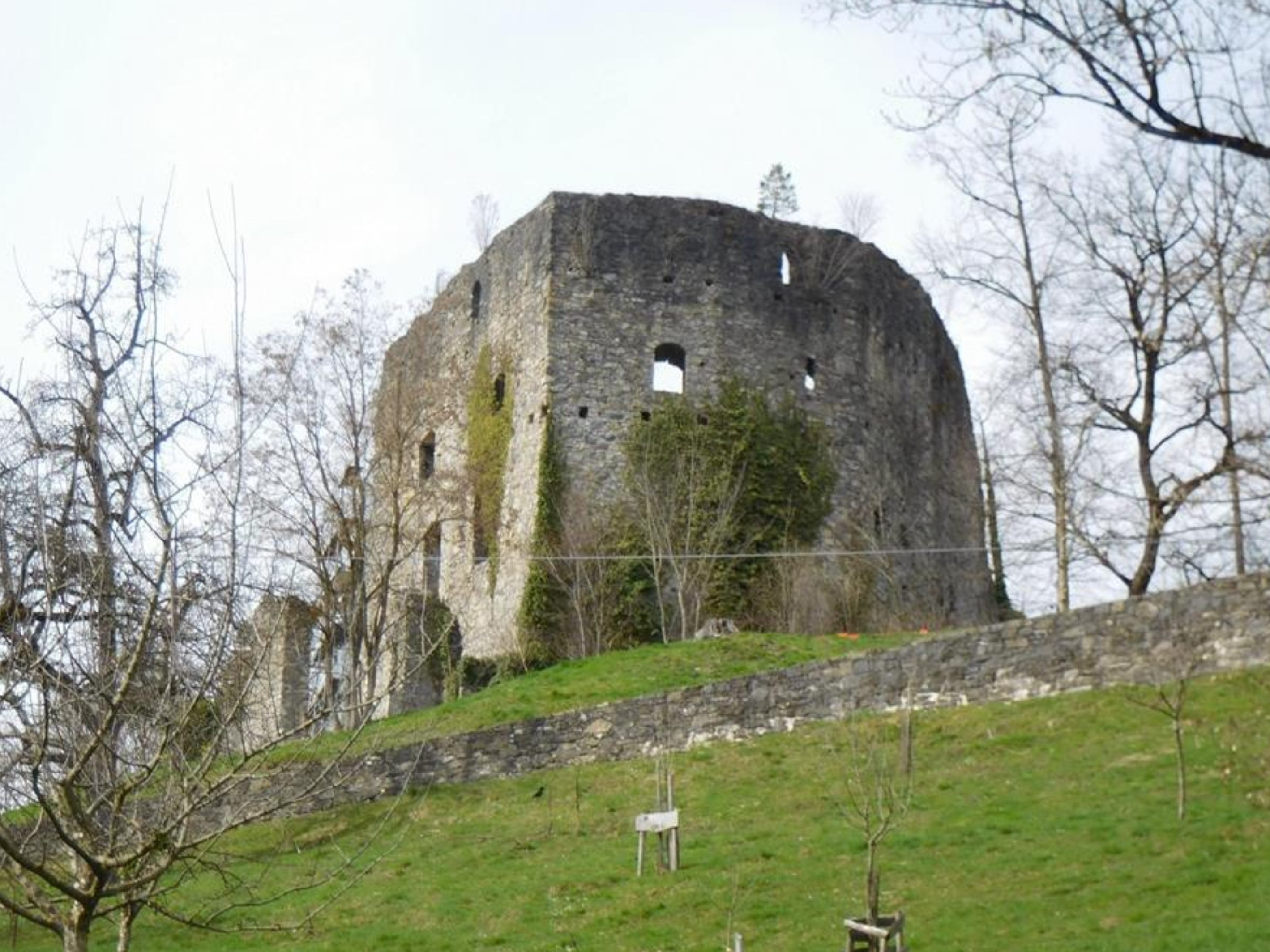 Auch in diesem Jahr finden auf der Ruine Jagdberg umfangreiche Sanierungsarbeiten statt Auch in diesem Jahr finden auf der Ruine Jagdberg umfangreiche Sanierungsarbeiten statt