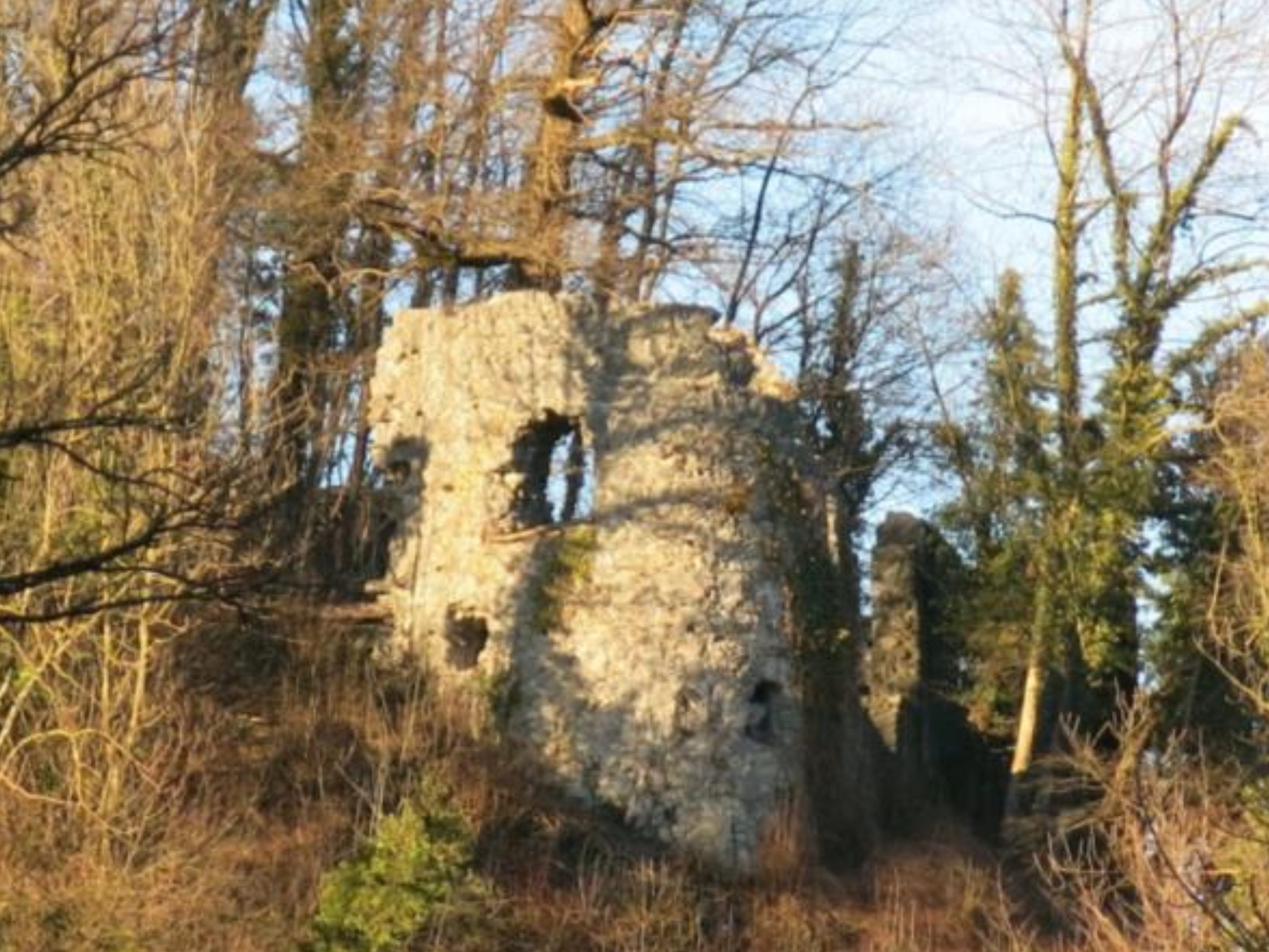 An der Burgruine Neuburg wird ab kommender Woche wieder gearbeitet