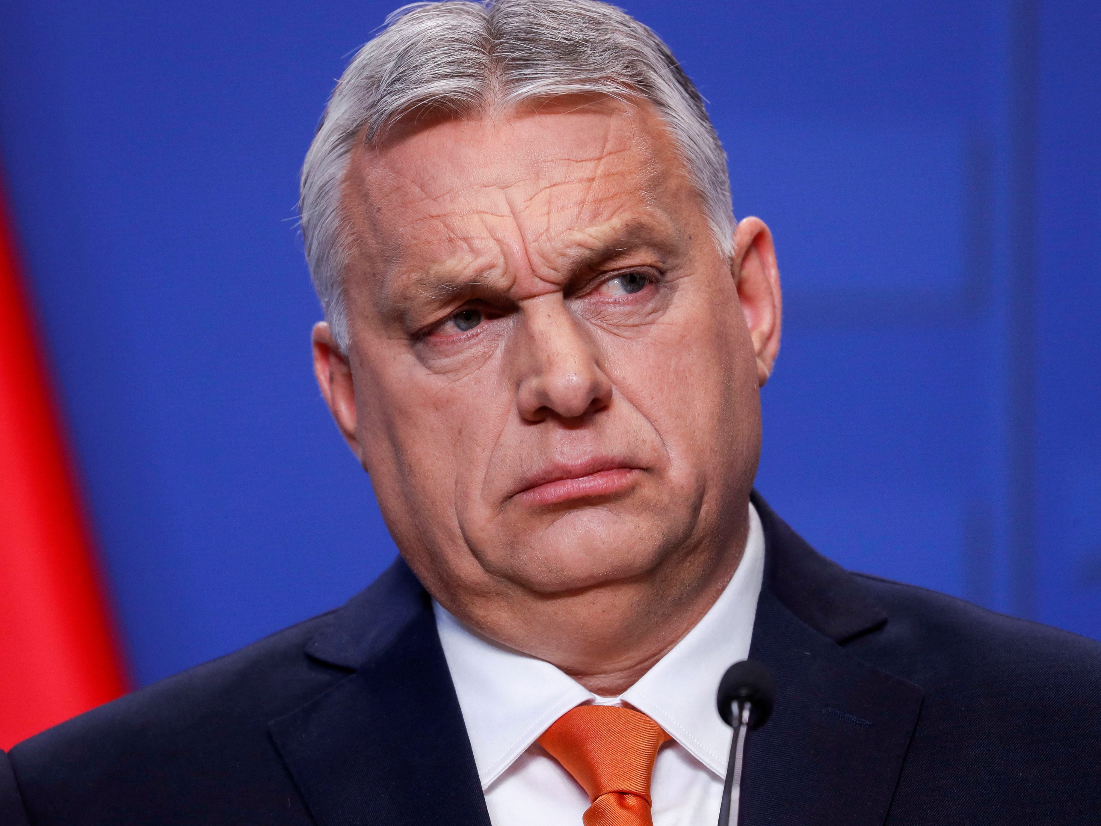 Das Auschwitz-Komitee erwartet eine Stellungnahme von Bundeskanzler Karl Nehammer zur Rede von Viktor Orbán. Das Auschwitz-Komitee erwartet eine Stellungnahme von Bundeskanzler Karl Nehammer zur Rede von Viktor Orbán.
