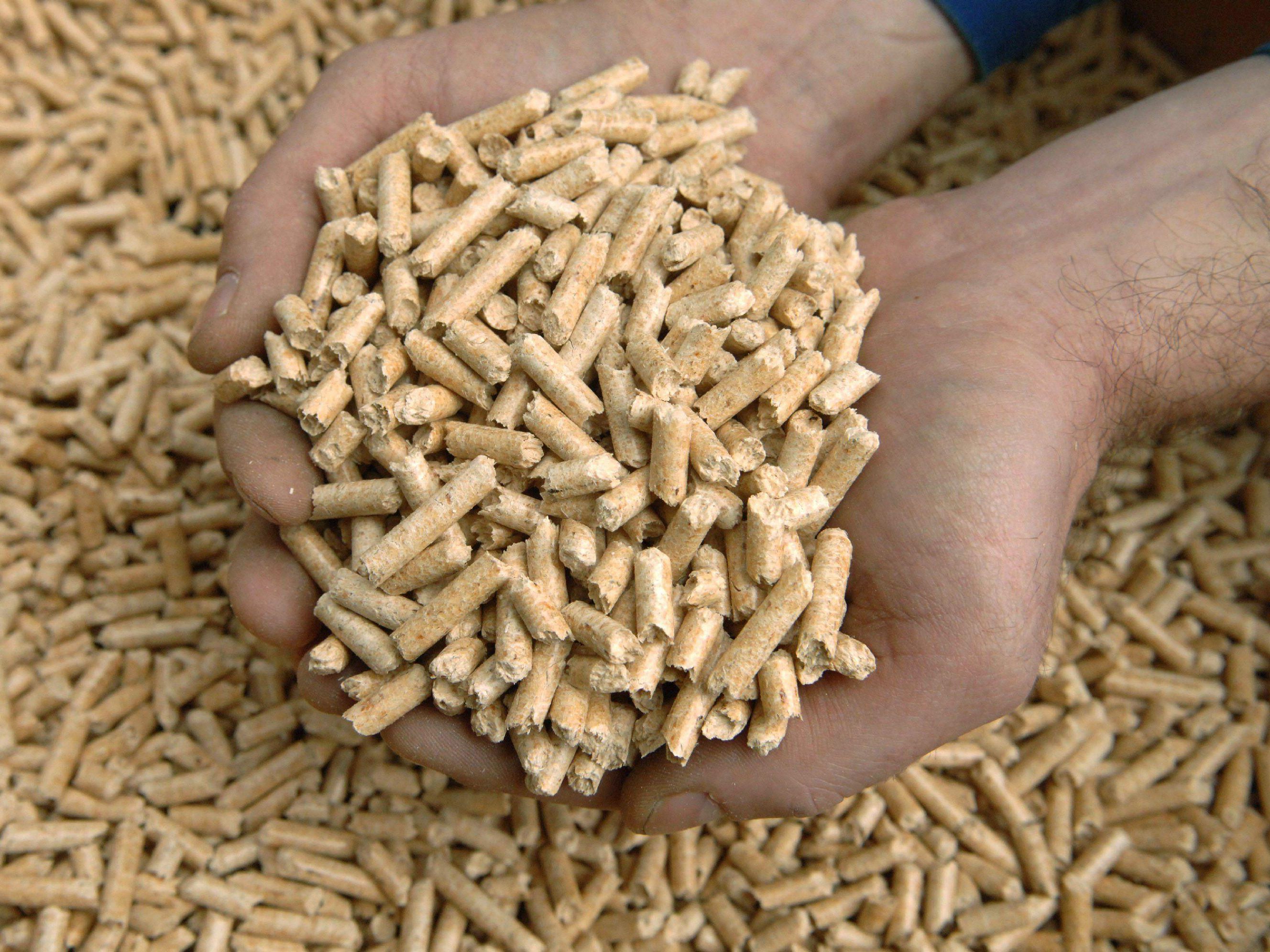 Kunden bestellen derzeit mehr Pellets als sonst. Kunden bestellen derzeit mehr Pellets als sonst.
