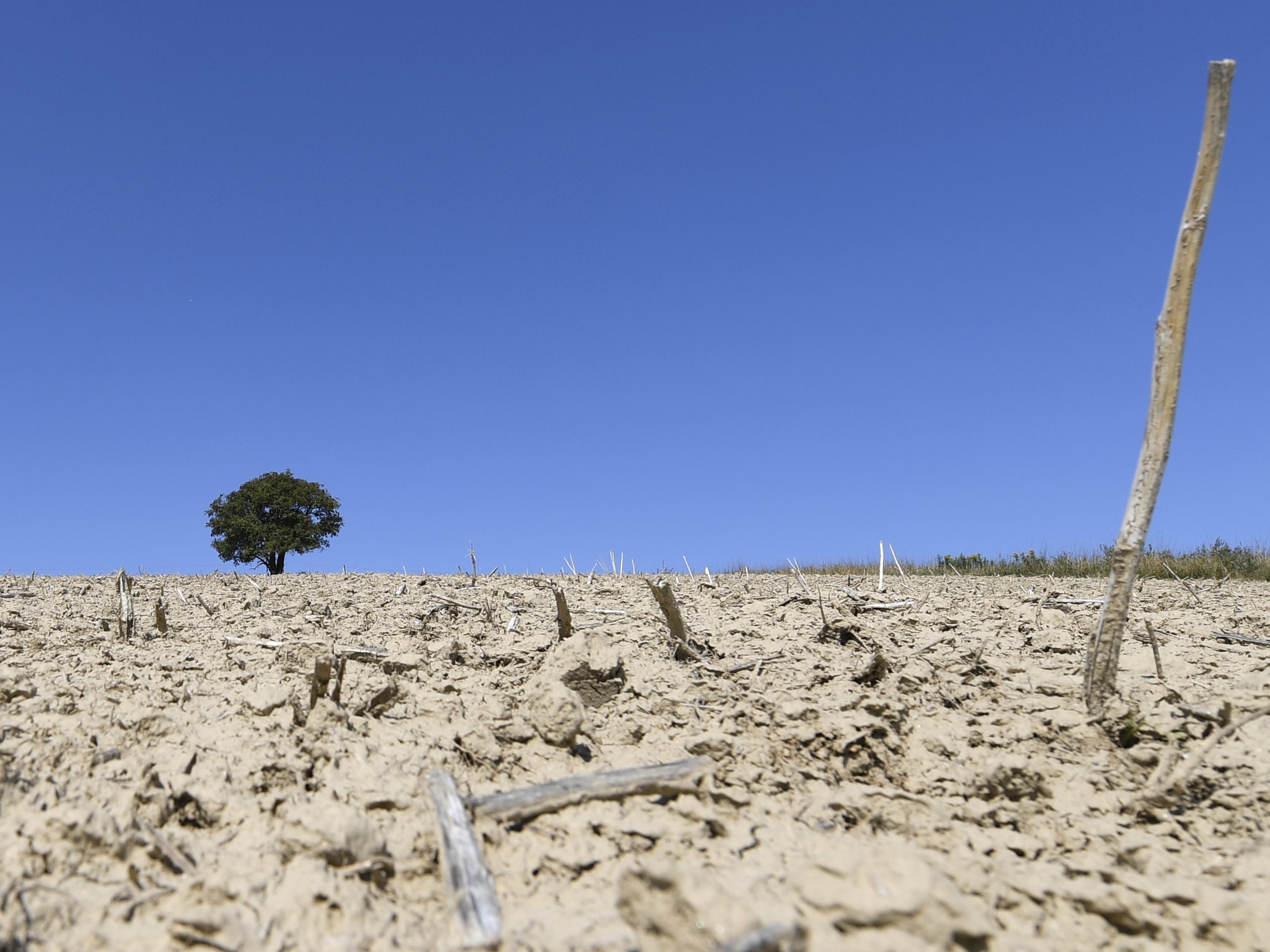 Das sind die höchsten Temperaturrekorde weltweit. Das sind die höchsten Temperaturrekorde weltweit.
