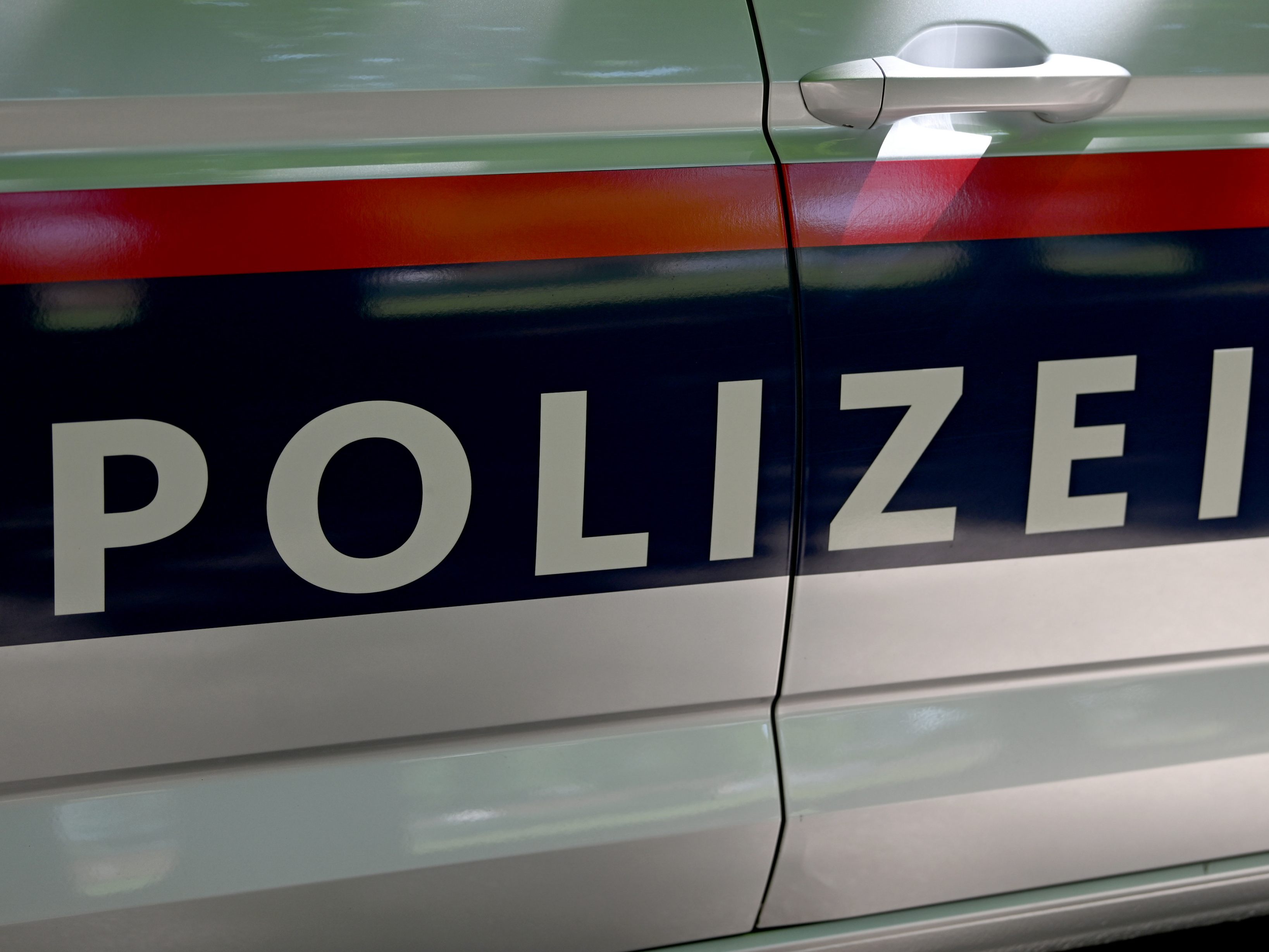 Bei einem Zusammenstoß auf der B19 in Tulln wurde ein Pferd verletzt.