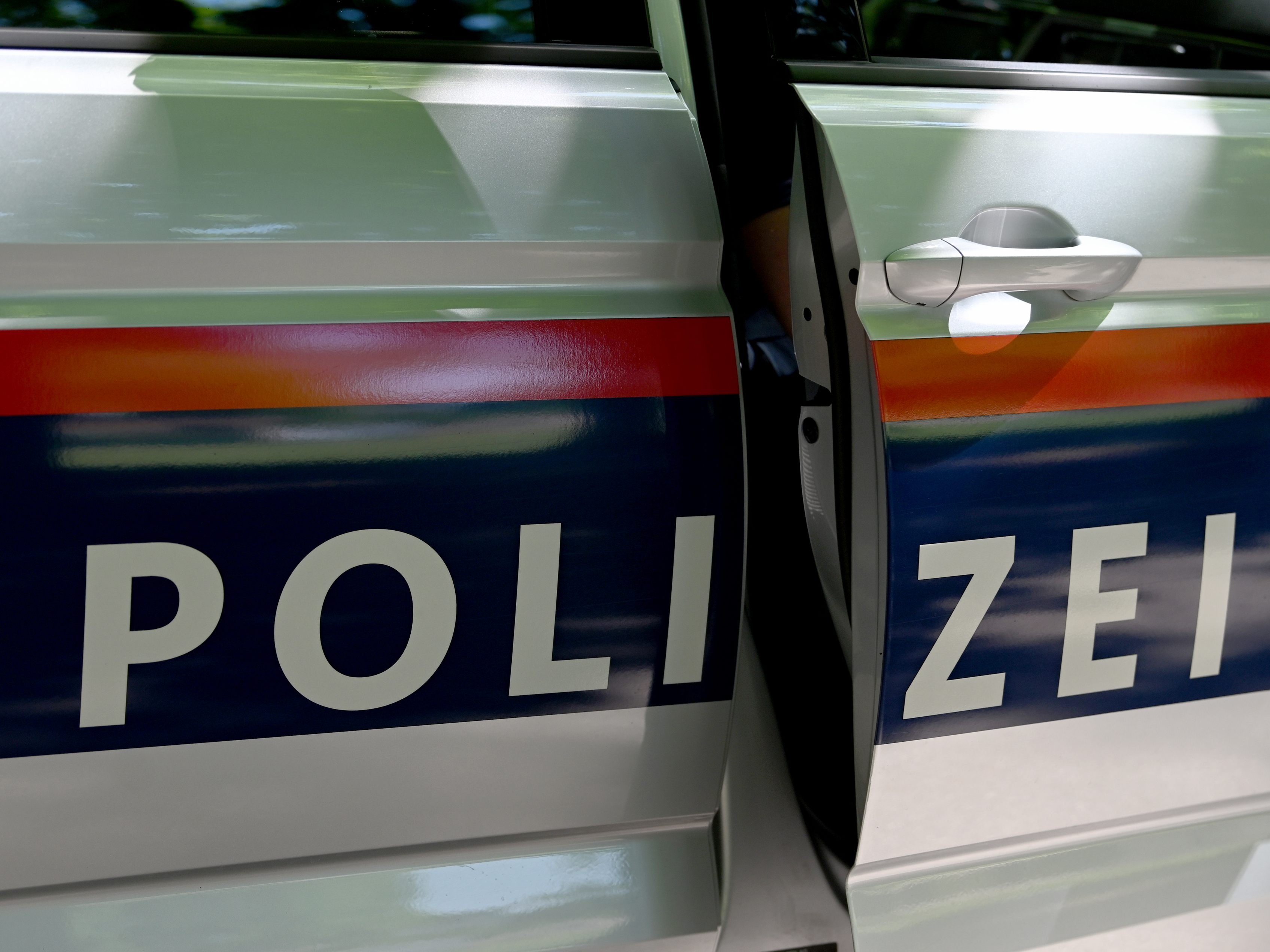 Die Polzei verhaftete einen 59-Jährigen, der nach einem versuchtem Ladendiebstahl mit einem Pkw davongerast war