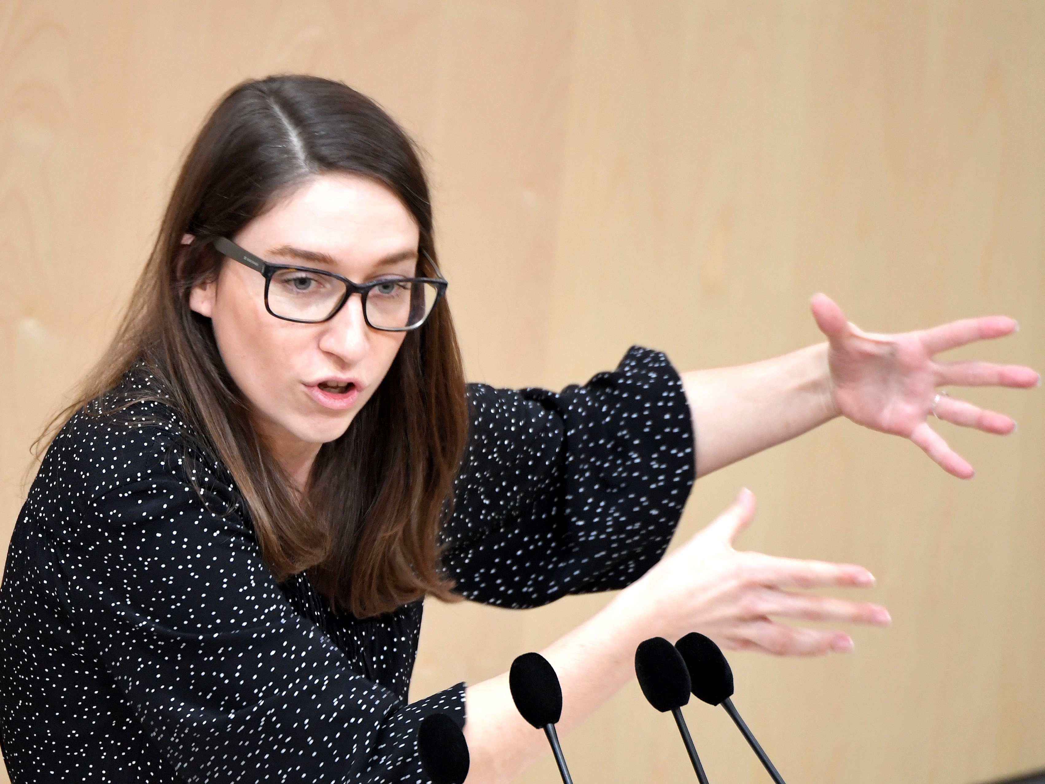 Die SPÖ fordert ein Grundrecht auf Naturgenuss in Österreich