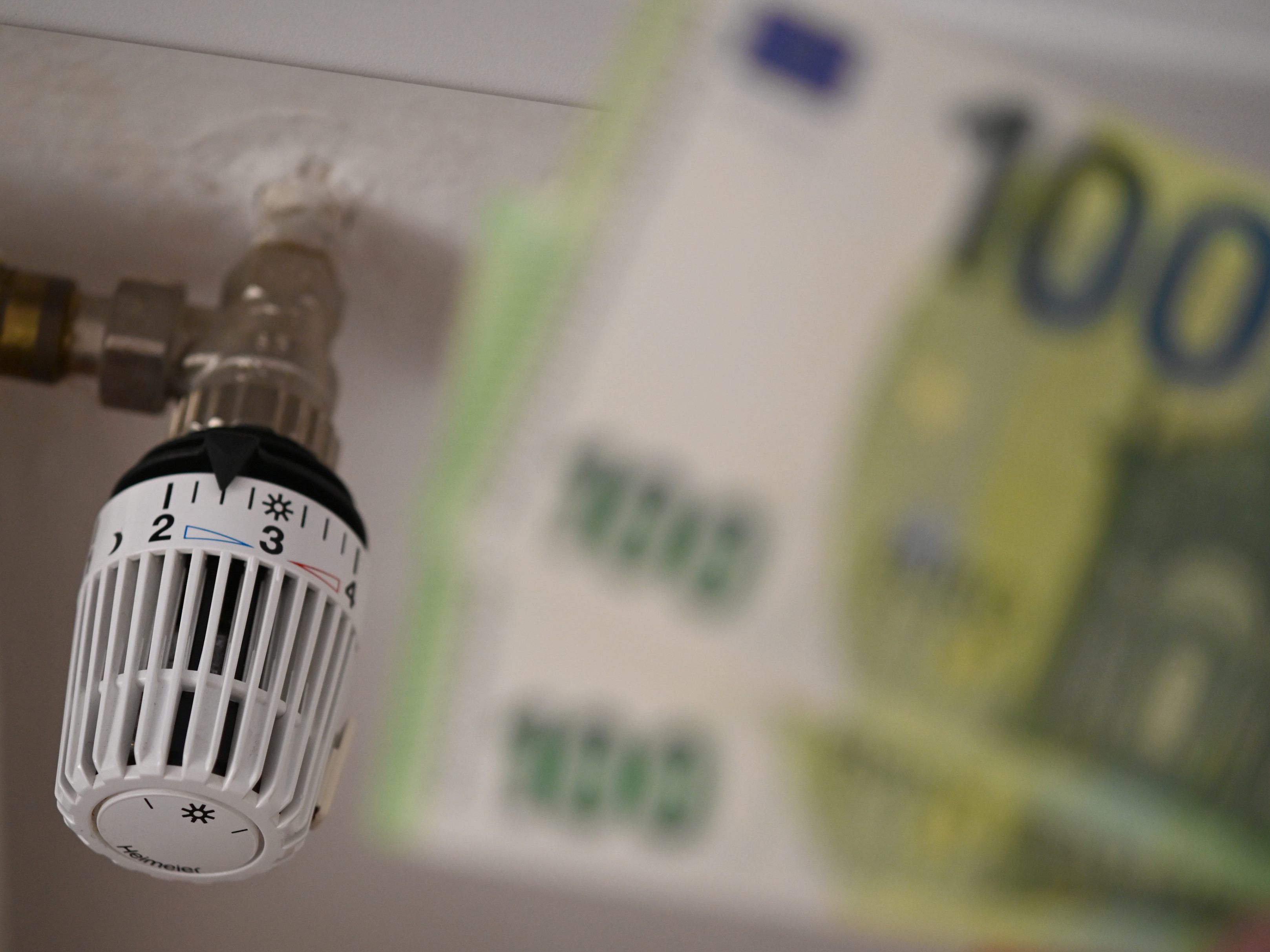Der Großteil der Energiegutscheine wurde online eingelöst. Der Großteil der Energiegutscheine wurde online eingelöst.