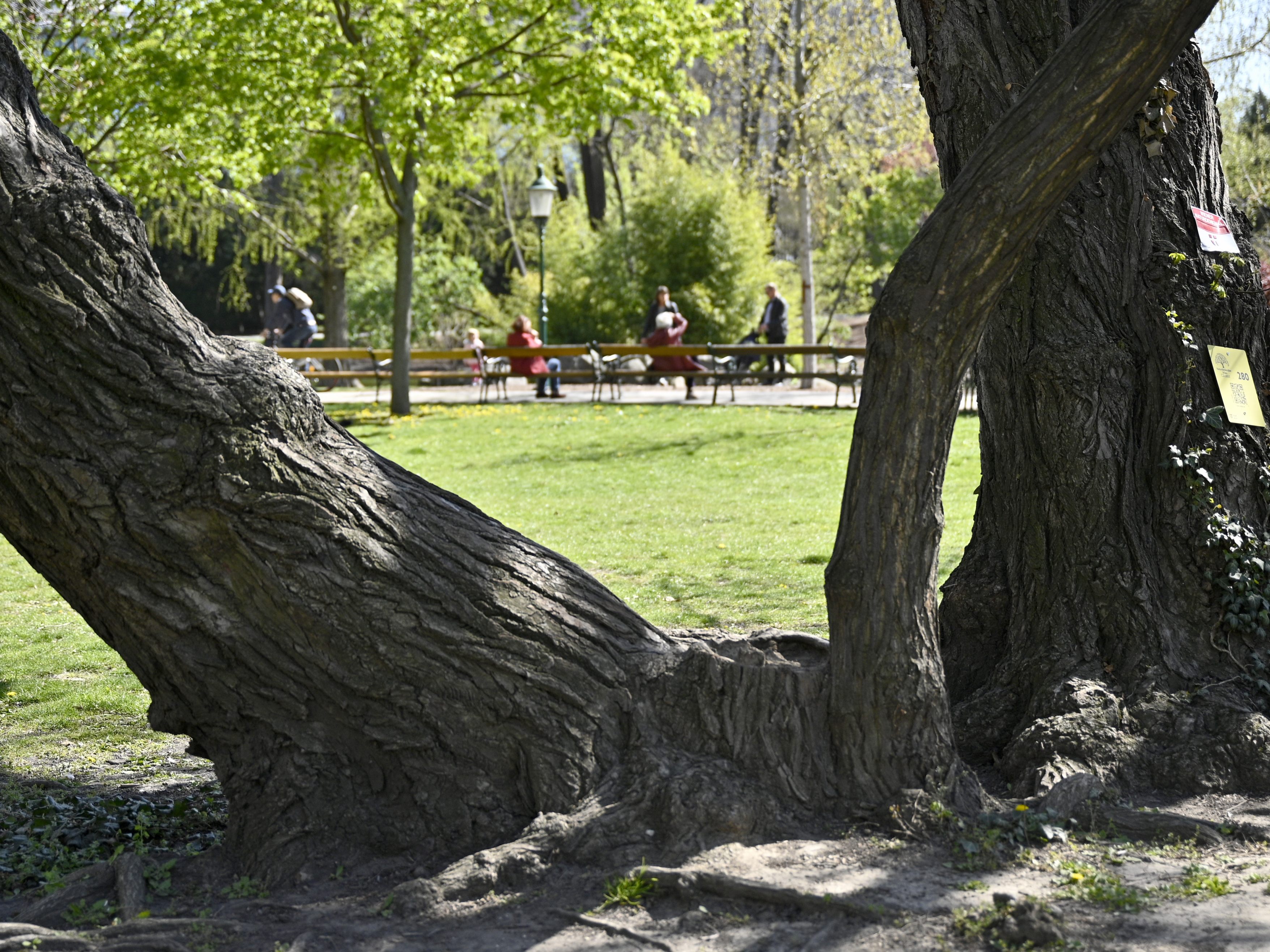 Im Wiener Stadtpark attackierten Montagabend drei junge Männer zwei 16-Jährige mit Tritten und Schlägen.