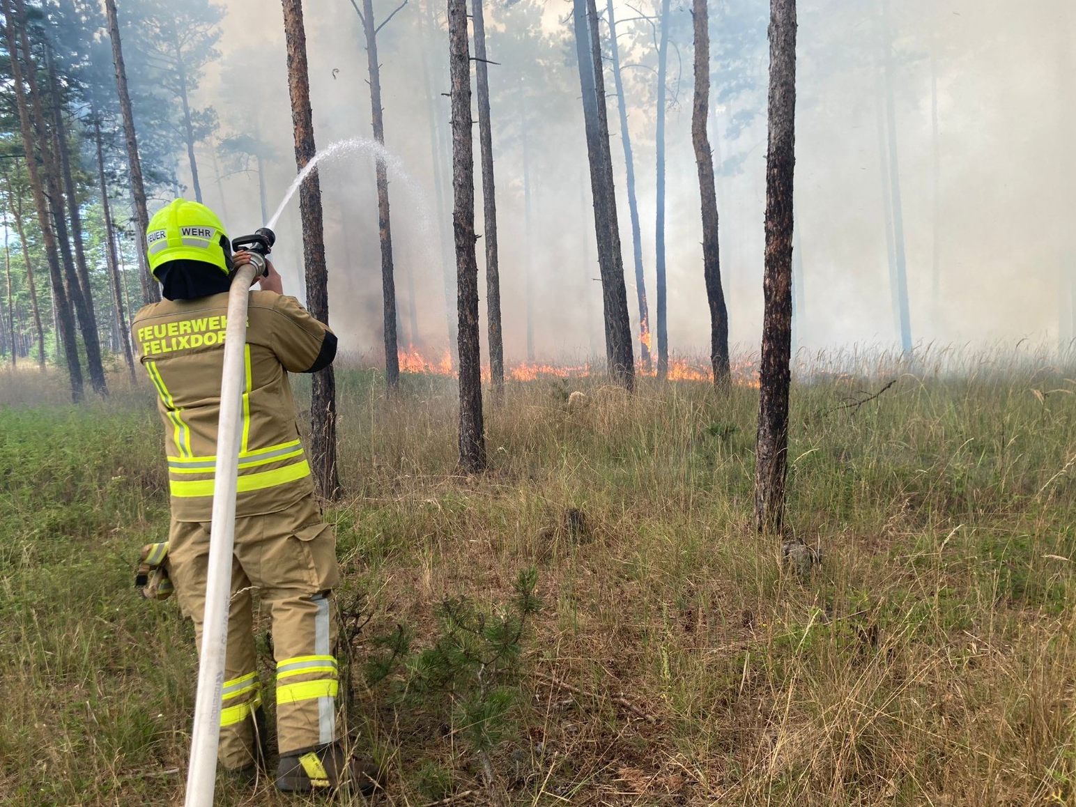 Die Usache des Brandes auf dem Bundesheer-Gelände in Ebenfurth wurde geklärt. Die Usache des Brandes auf dem Bundesheer-Gelände in Ebenfurth wurde geklärt.