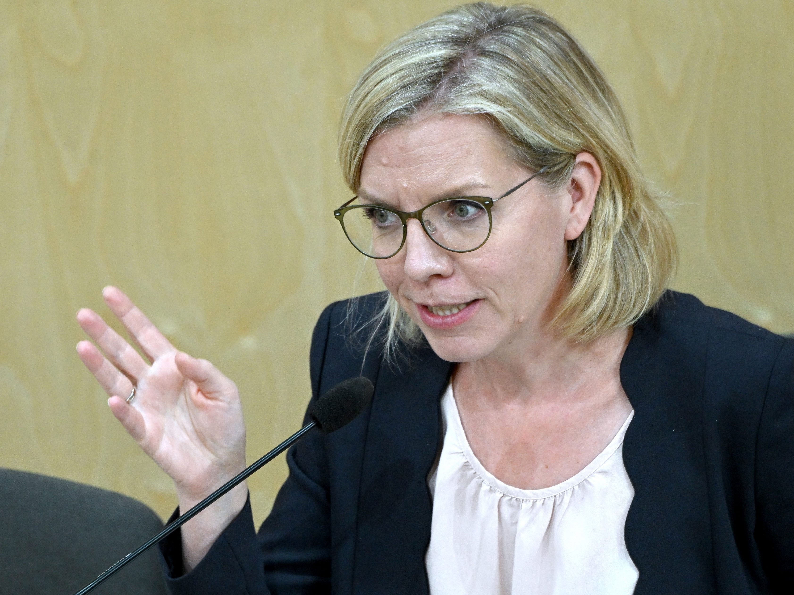 Der Nationalrat beschloss Energie-Hilfe für Unternehmen. Der Nationalrat beschloss Energie-Hilfe für Unternehmen.