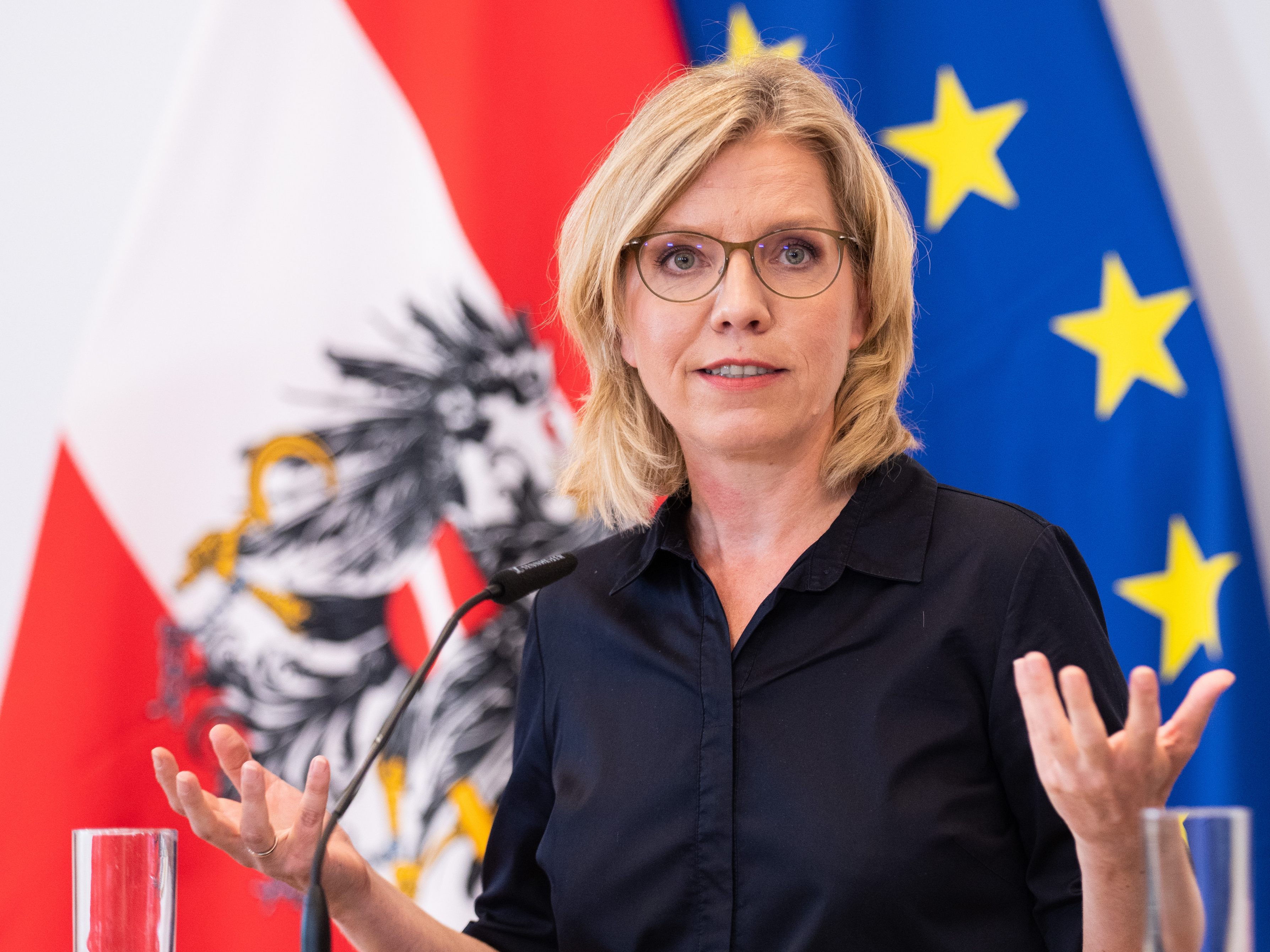 Laut Leonore Gewessler sinkt die Gas-Abhängigkeit von Russland unter 50 Prozent. Laut Leonore Gewessler sinkt die Gas-Abhängigkeit von Russland unter 50 Prozent.