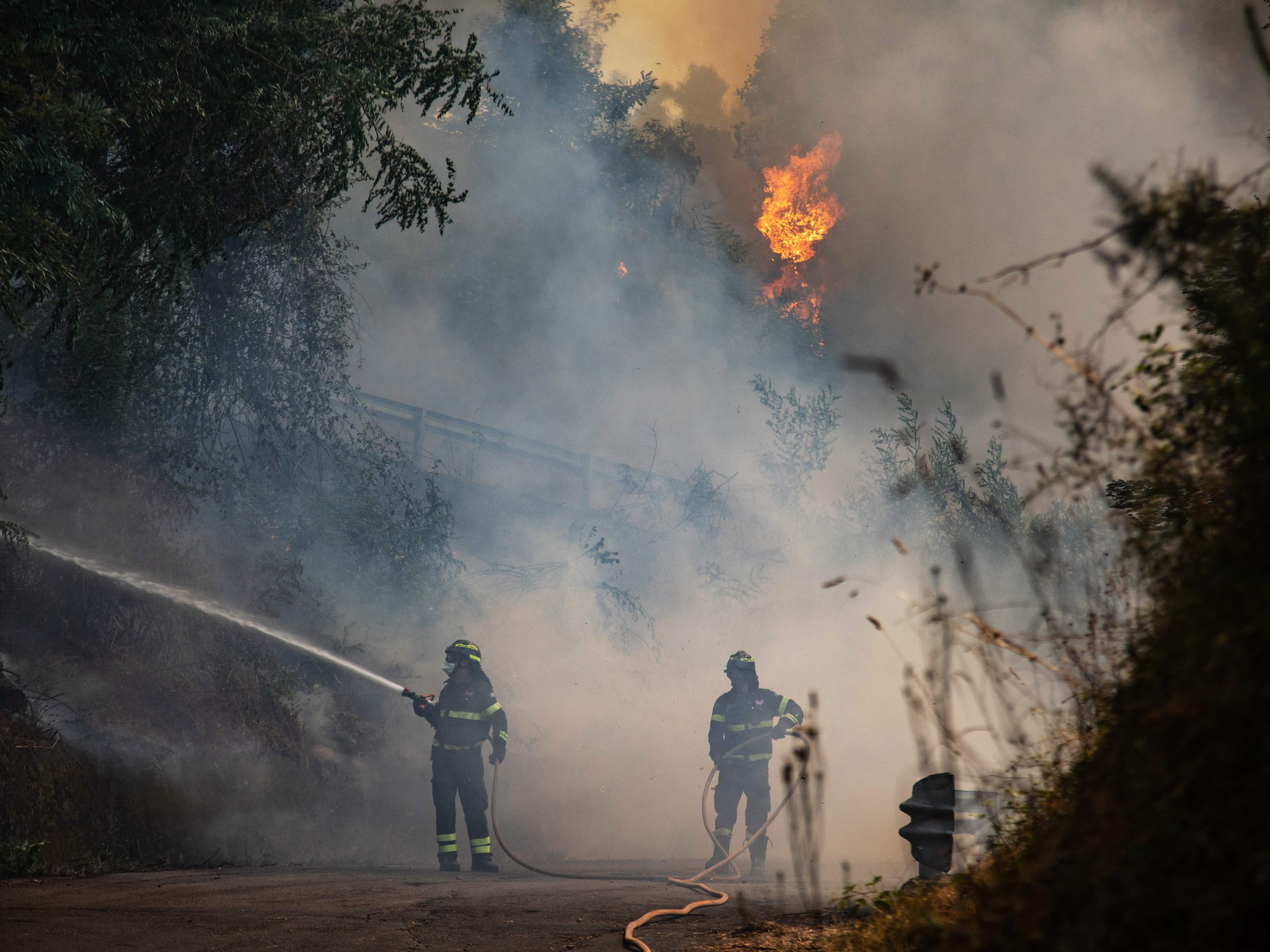 In Italien kämpfen die Feuerwehren derzeit gegen mehrere Waldbrände an. In Italien kämpfen die Feuerwehren derzeit gegen mehrere Waldbrände an.