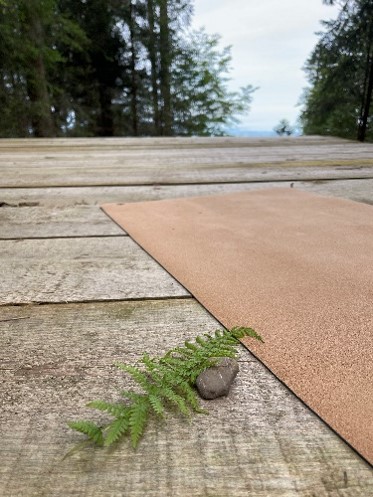 Wir fanden uns in Ruhe ein und hielten unsere Sammelstücke bereit. Anja und ich hatten uns unabhängig voneinander für den Farn entschieden.