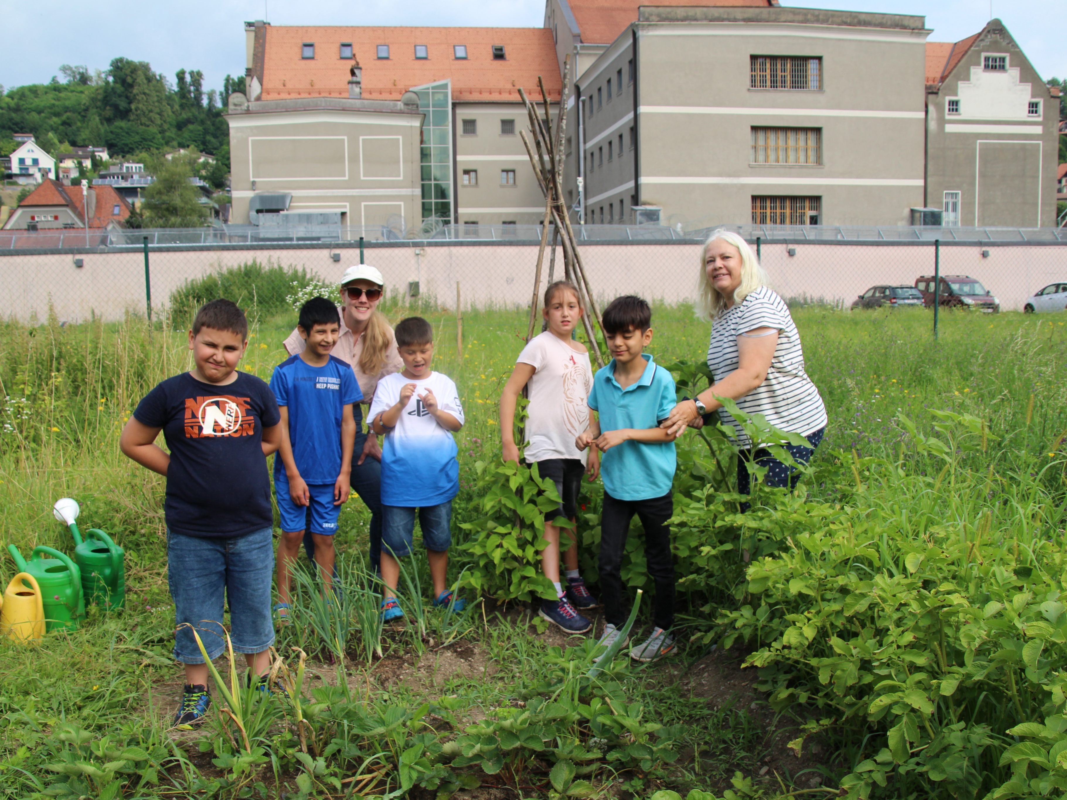 Schülerinnen und Schüler des PFZ Feldkirch ernten im Stadtgarten Feldkirch frisches Gemüse. Schülerinnen und Schüler des PFZ Feldkirch ernten im Stadtgarten Feldkirch frisches Gemüse.