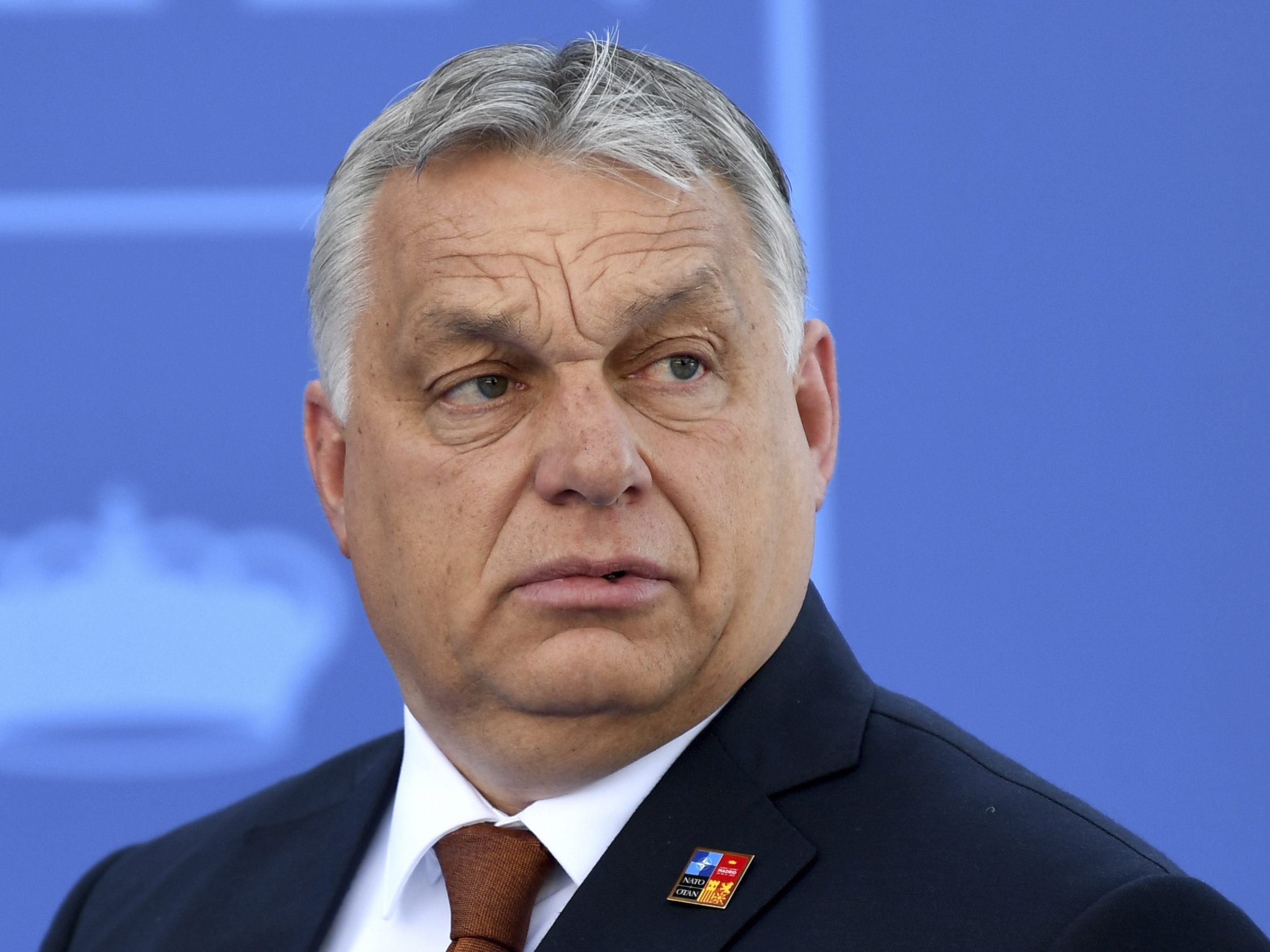 Orban versucht sich nach seinen Aussagen zur "Rassenvermischung" zu rechtfertigen.