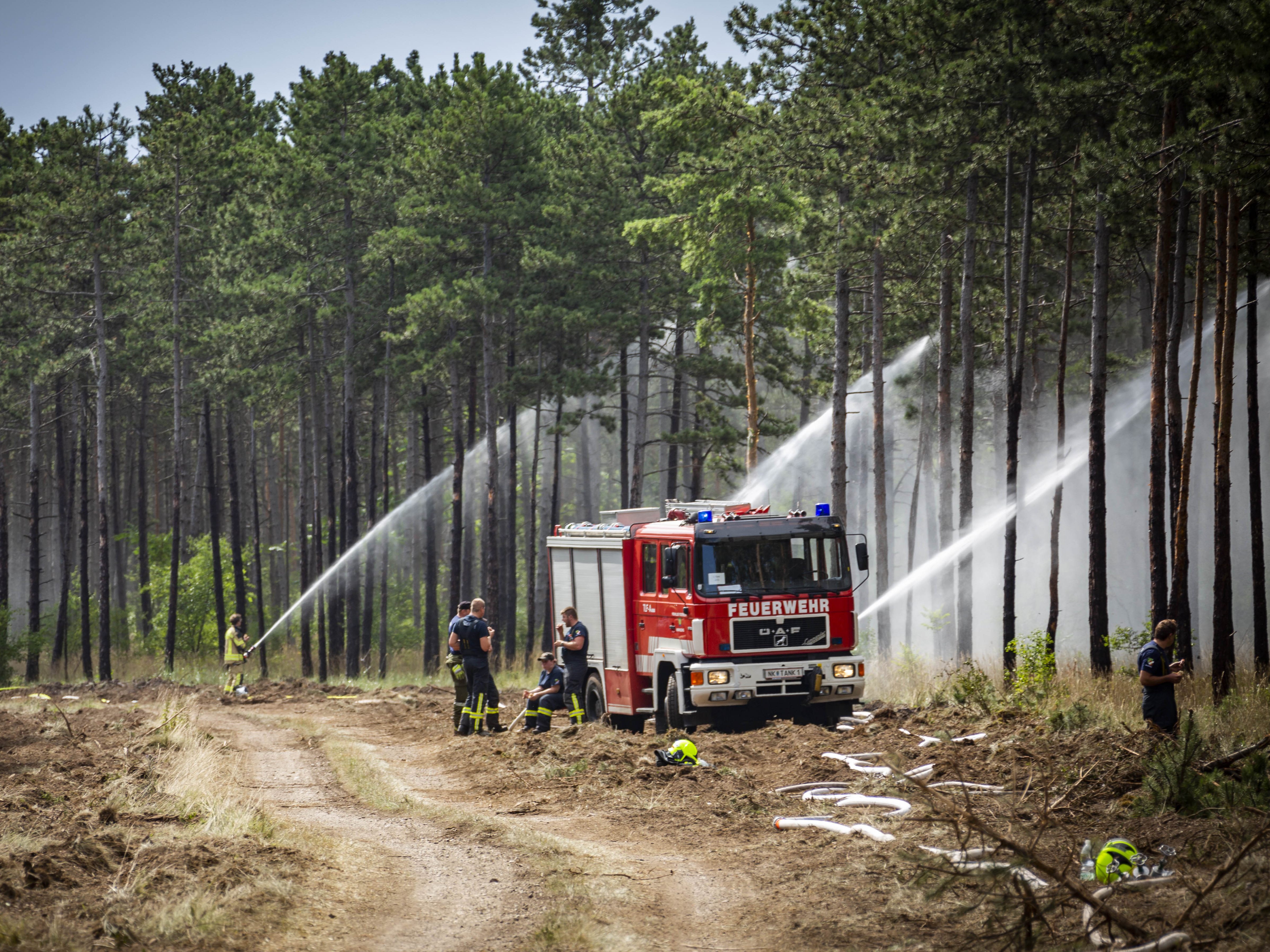 Mödlinger Feuerwehren sind bei der Bekämpfung des Waldbrands in Großmittel im Einsatz
