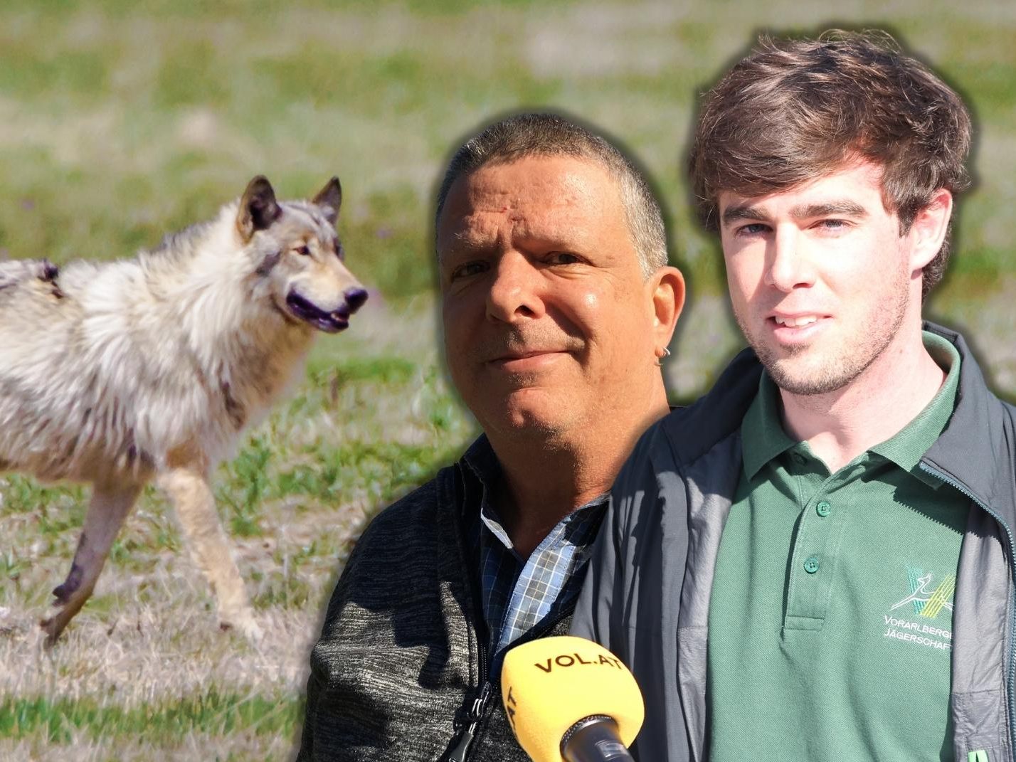 Klaus Zimmermann (inatura) und Gernot Heigl (GF Jägerschaft Vorarlberg) über die "Wolfsichtung". Klaus Zimmermann (inatura) und Gernot Heigl (GF Jägerschaft Vorarlberg) über die "Wolfsichtung".