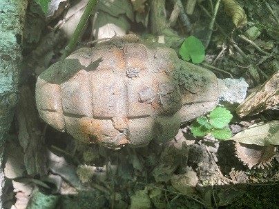 In Wien-Hernals entdeckte eine Spaziergängerin eine Handgranate. In Wien-Hernals entdeckte eine Spaziergängerin eine Handgranate.