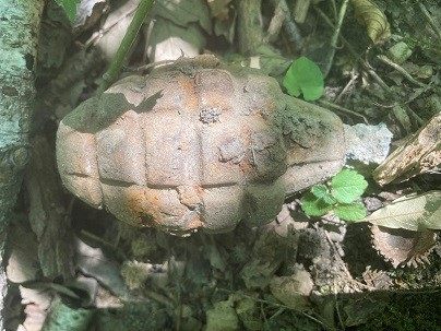 In Wien-Hernals entdeckte eine Spaziergängerin eine Handgranate.