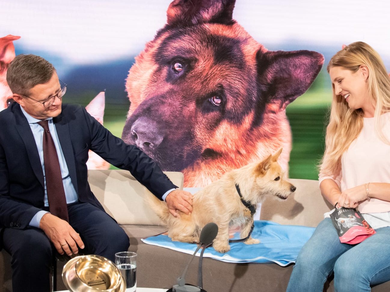 Gewinner des Vorjahres: Hermann Aigner, Geschäftsführer Fressnapf Österreich, überreicht dem tierischen Held James und seiner Besitzerin Felicitas Bedynek den „Goldenen Fressnapf 2021“. Gewinner des Vorjahres: Hermann Aigner, Geschäftsführer Fressnapf Österreich, überreicht dem tierischen Held James und seiner Besitzerin Felicitas Bedynek den „Goldenen Fressnapf 2021“.