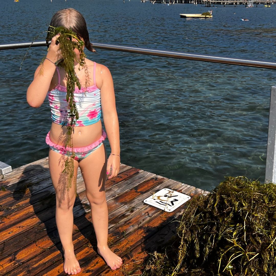 Kinder haben im Strandbad Seegras entfernt.