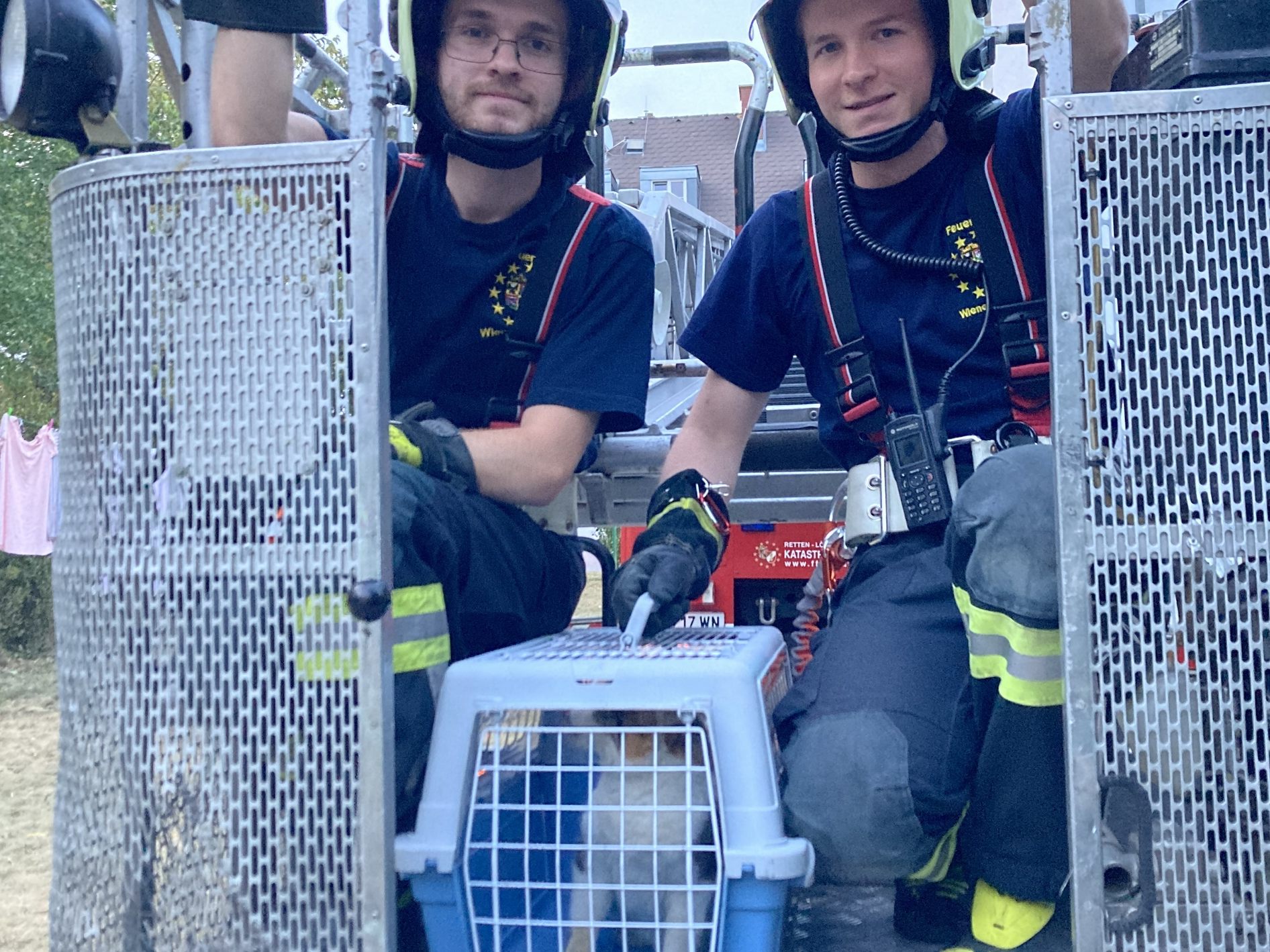 Die Freiwillige Feuerwehr Wiener Neustadt rettete eine Katze von einem Dach. Die Freiwillige Feuerwehr Wiener Neustadt rettete eine Katze von einem Dach.