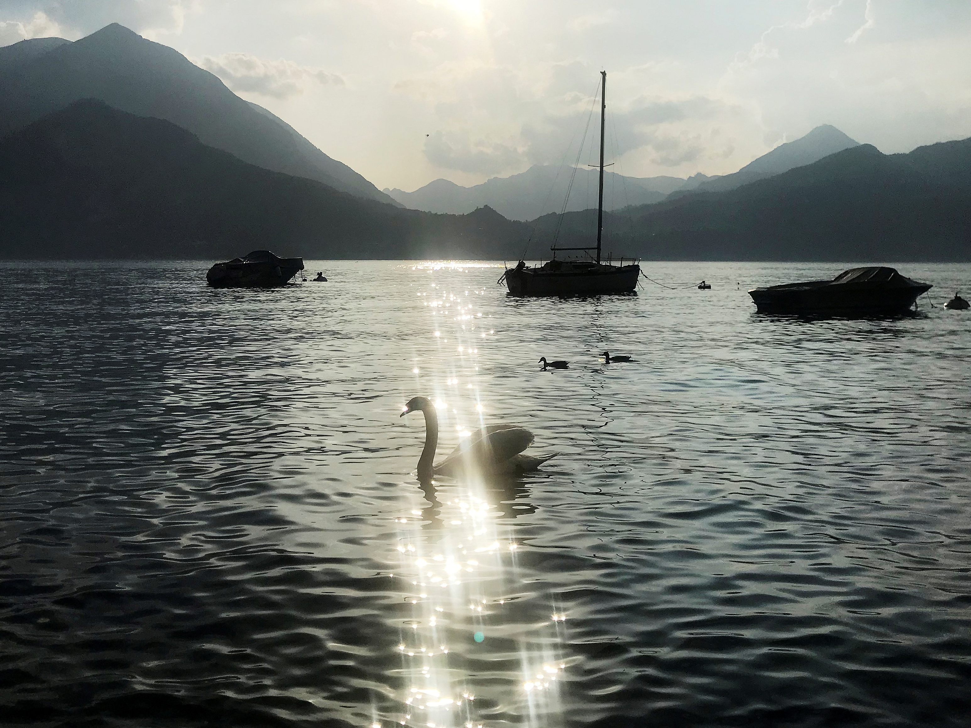 Das Bild zeigt den Comer See im Jahr 2018.