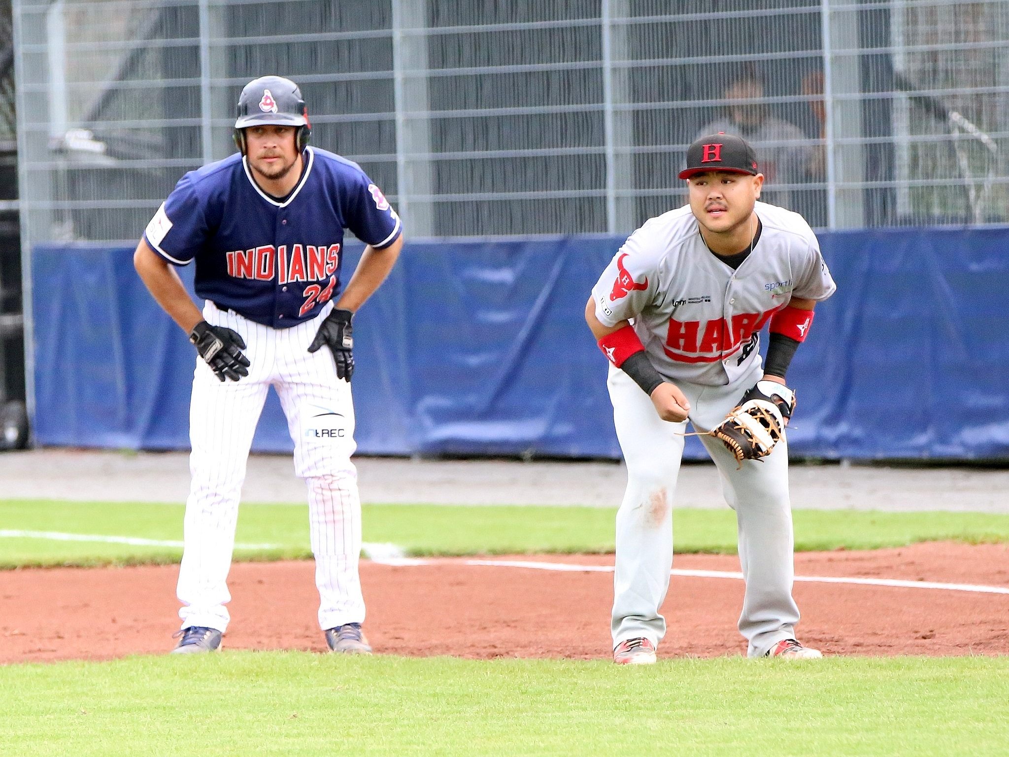 Mit einem "Sweep" gegen die Hard Bulls zogen die Dornbirn Indians vergangenes Wochenende ins Halbfinale. Mit einem "Sweep" gegen die Hard Bulls zogen die Dornbirn Indians vergangenes Wochenende ins Halbfinale.