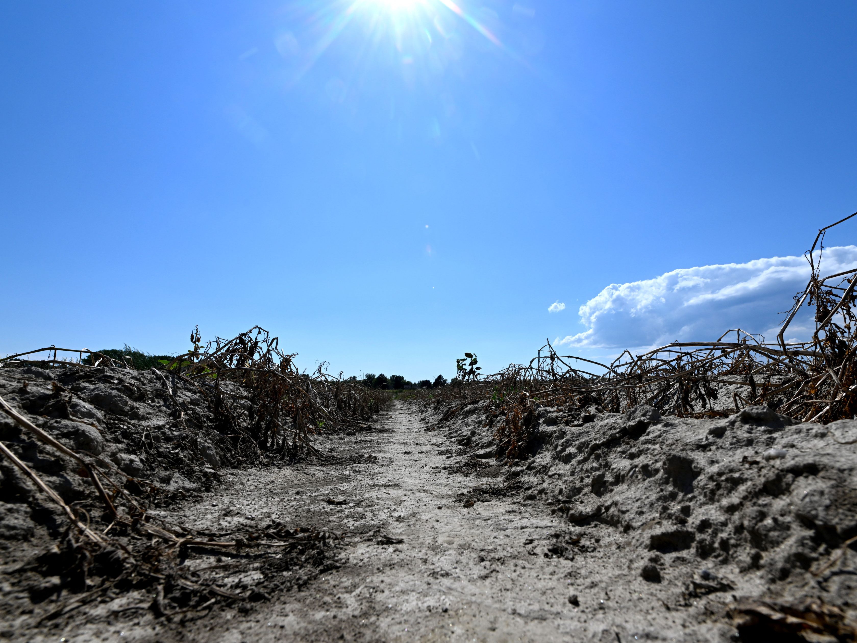 Bodenverbrauch und Klimawandel gefährden die Wasserversorgung in Österreich.