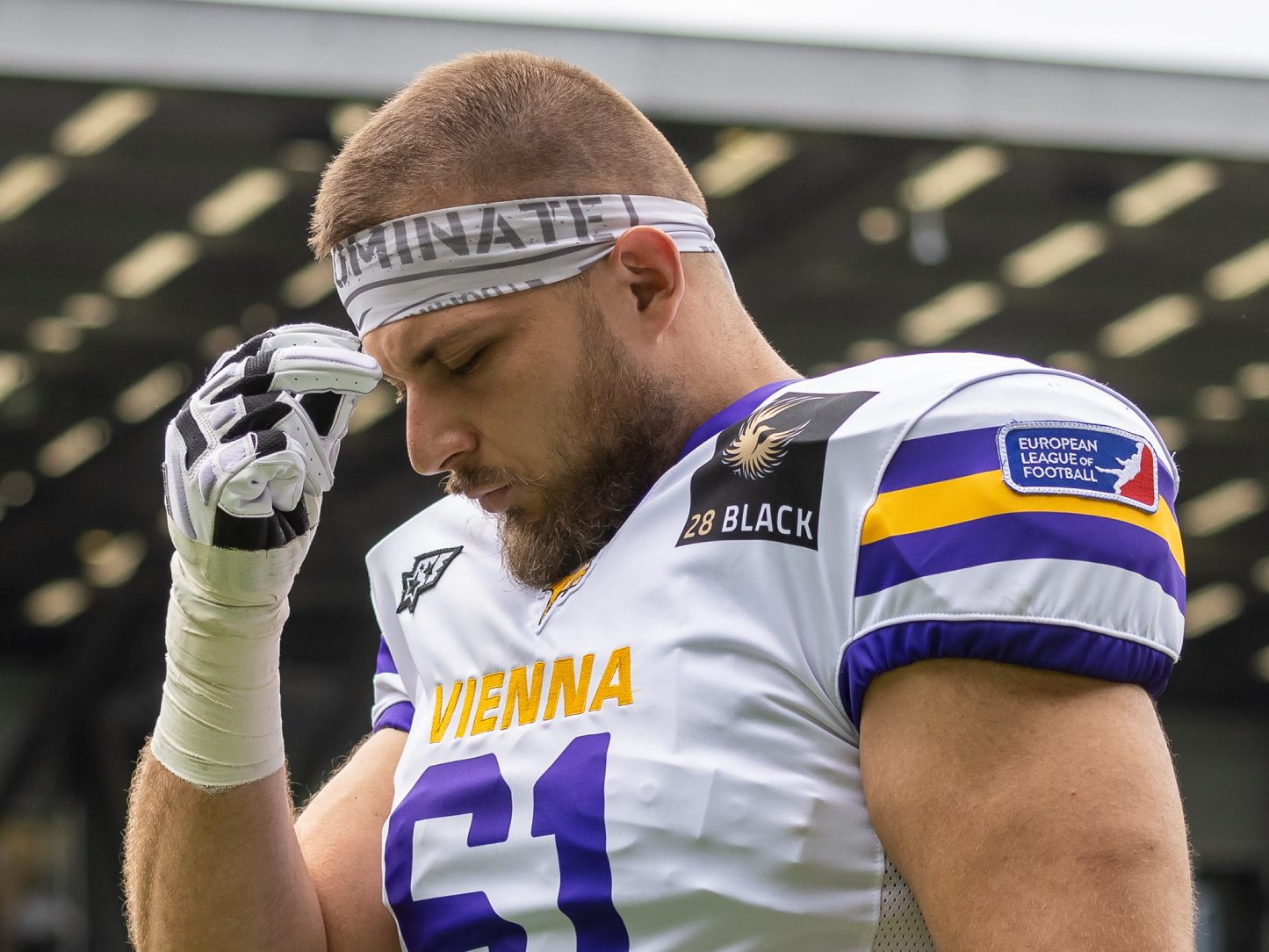 Nach 8 Siegen mussten sich die Vienna Vikings in der ELF erstmals geschlagen geben.