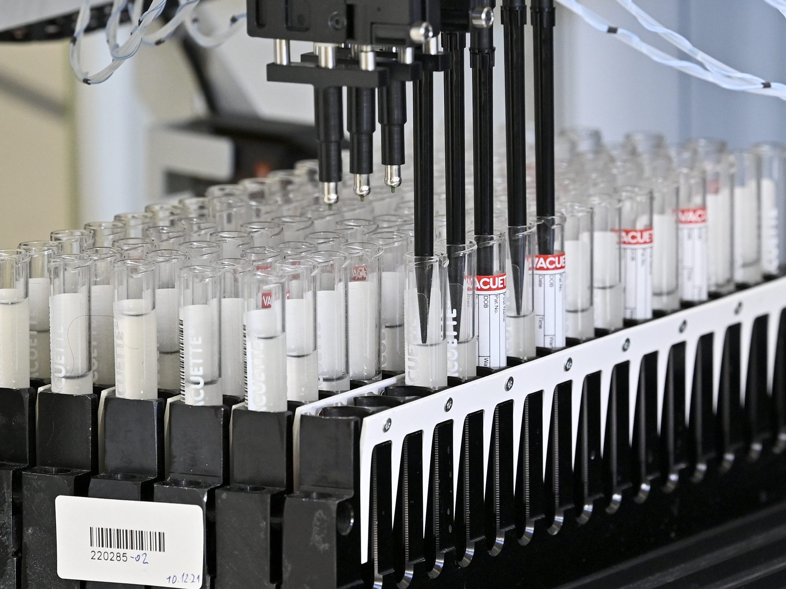 Am Dienstag sind in Österreich 4.883 Neuinfektionen mit dem Coronavirus gemeldet worden.