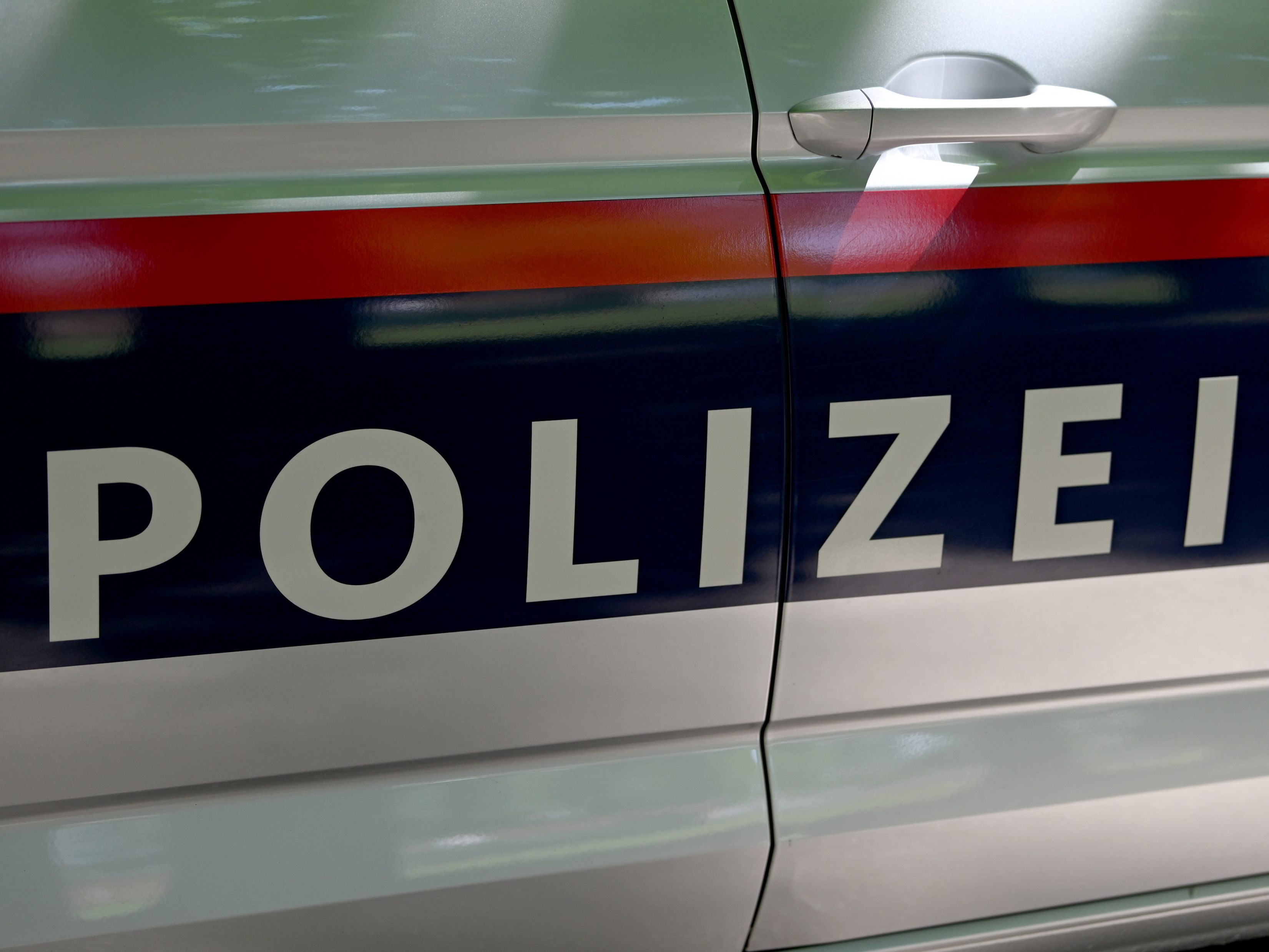 Die Wiener Polizei hat zwei mutmaßliche Räuber festgenommen. Die Wiener Polizei hat zwei mutmaßliche Räuber festgenommen.