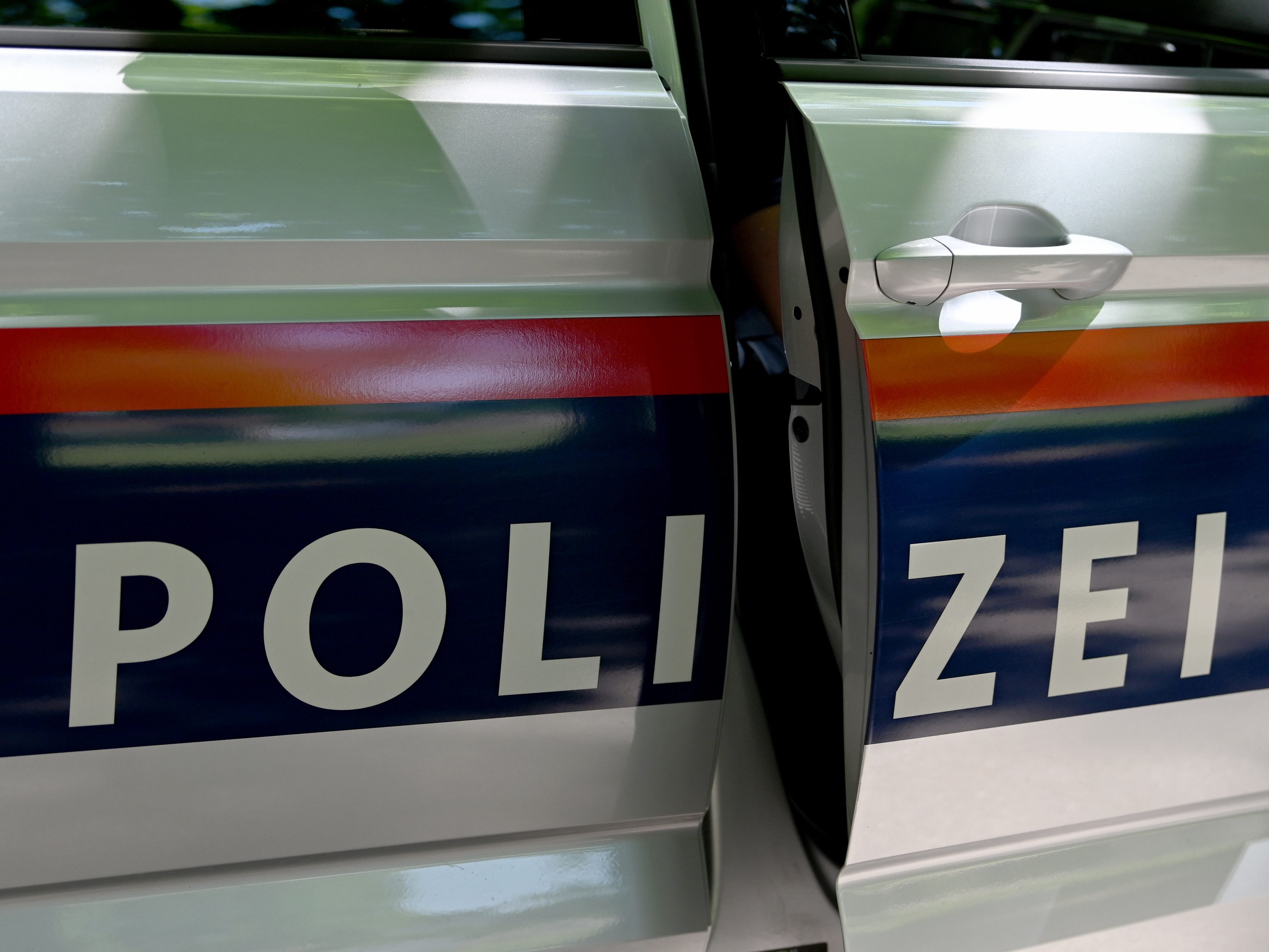 Ein 28-Jähriger wurde in Wien-Mariahilf bei einem Ladendiebstahl ertappt.