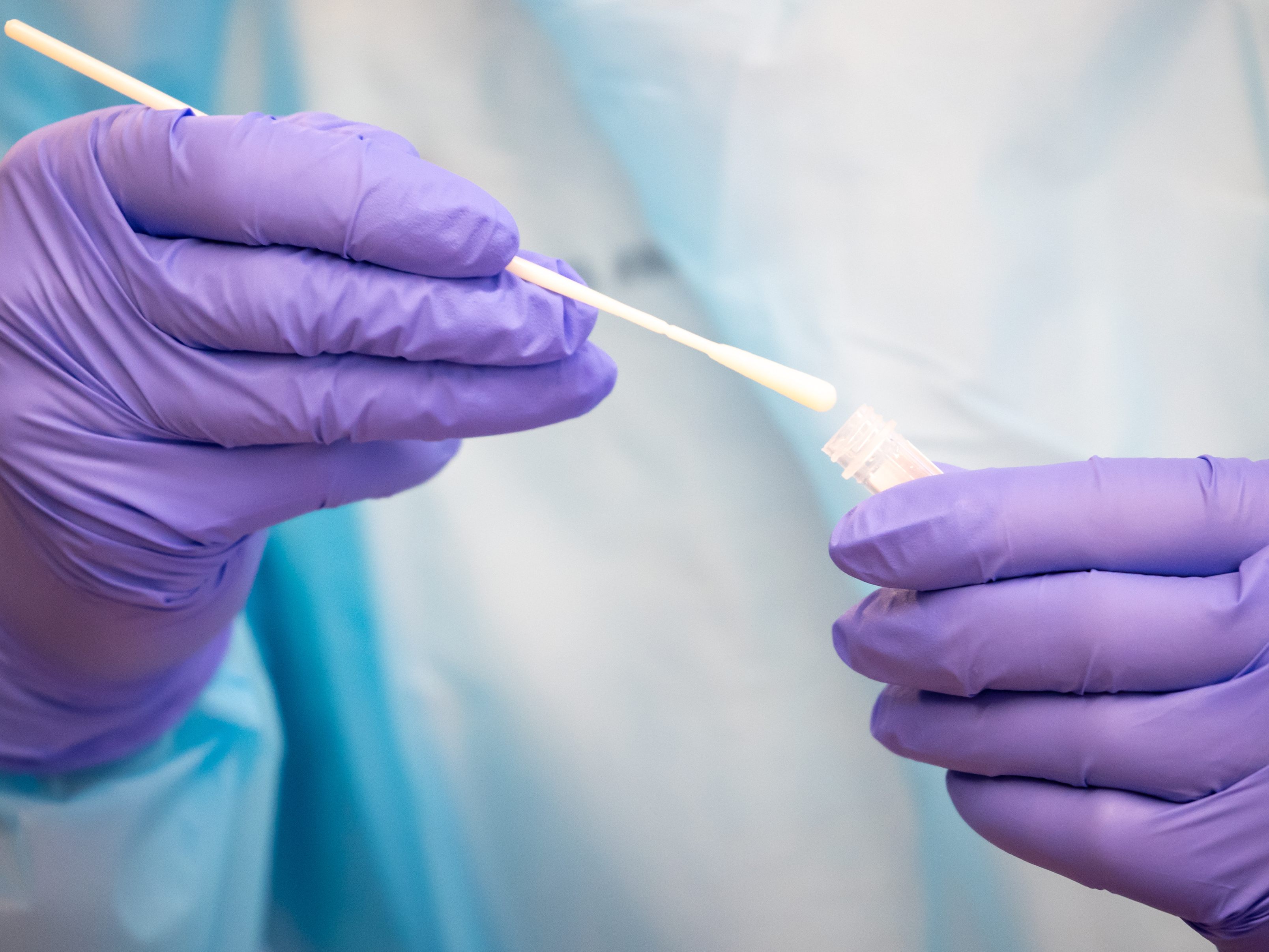 Ansteckung mit Omikron-Subtypen BA.1 und BA.2 erzeugt sehr "engen" immunologischen Schutz.