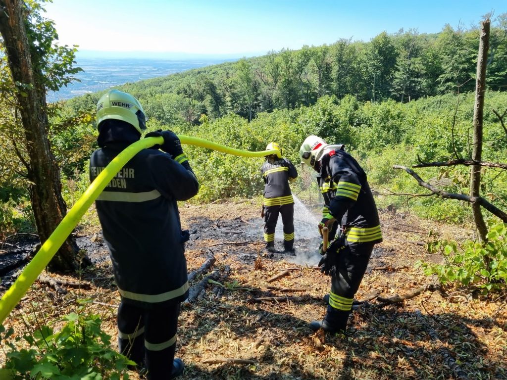 Einsatzkräfte der Feuerwehr haben am Donnerstag am Anninger im Wienerwald einen großflächigen Waldbrand verhindert.