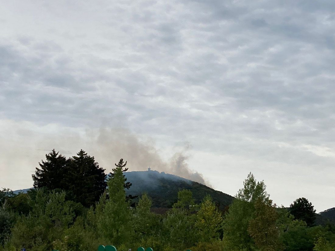 Mehrere Feuerwehren standen bei dem Waldbrand im Einsatz.