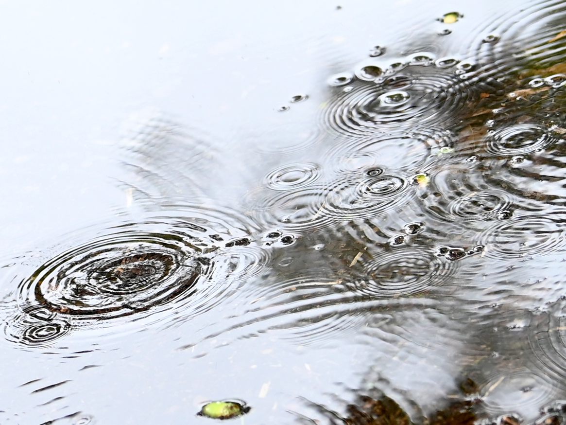 Wetter in Österreich: Osten steht Regen bevor. Wetter in Österreich: Osten steht Regen bevor.