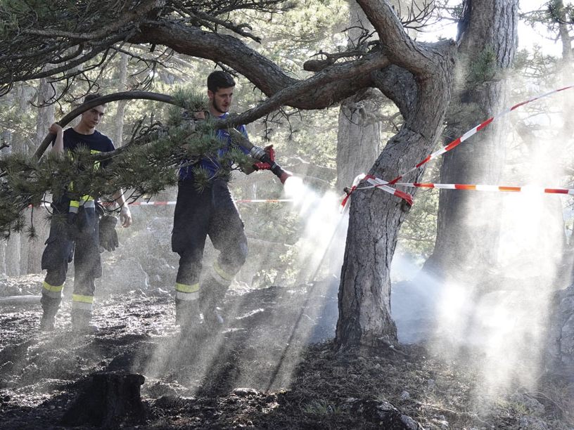 Langwierige Löscharbeiten bei Waldbrand im Bezirk Baden