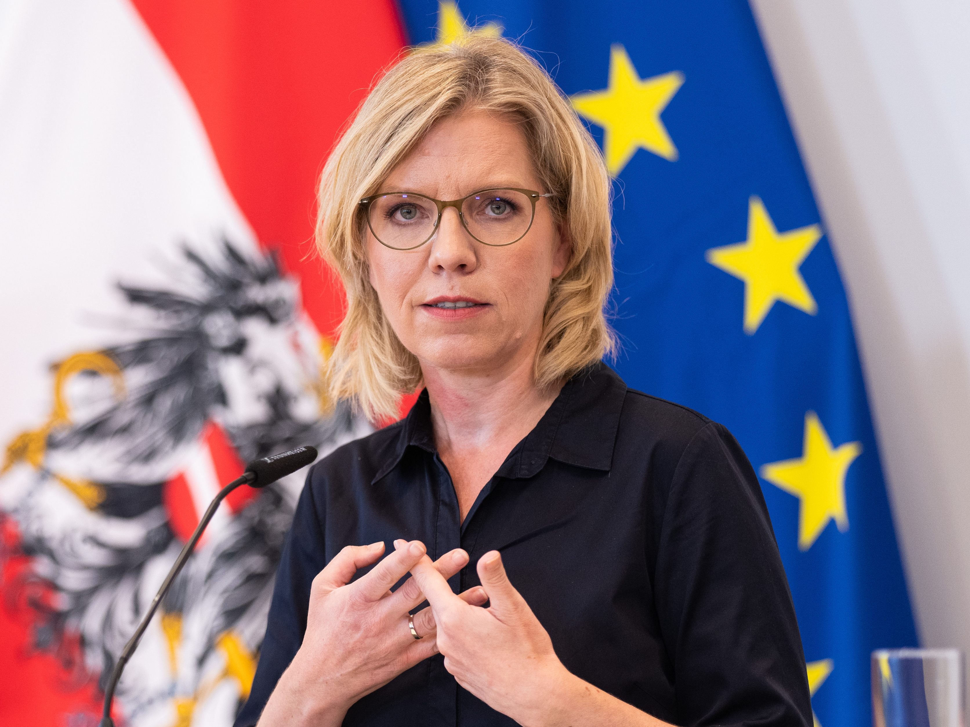 Klimaschutzministerin Gewessler schlägt Alarm: Gewessler: "Der Pandemieeffekt ist vorbei"