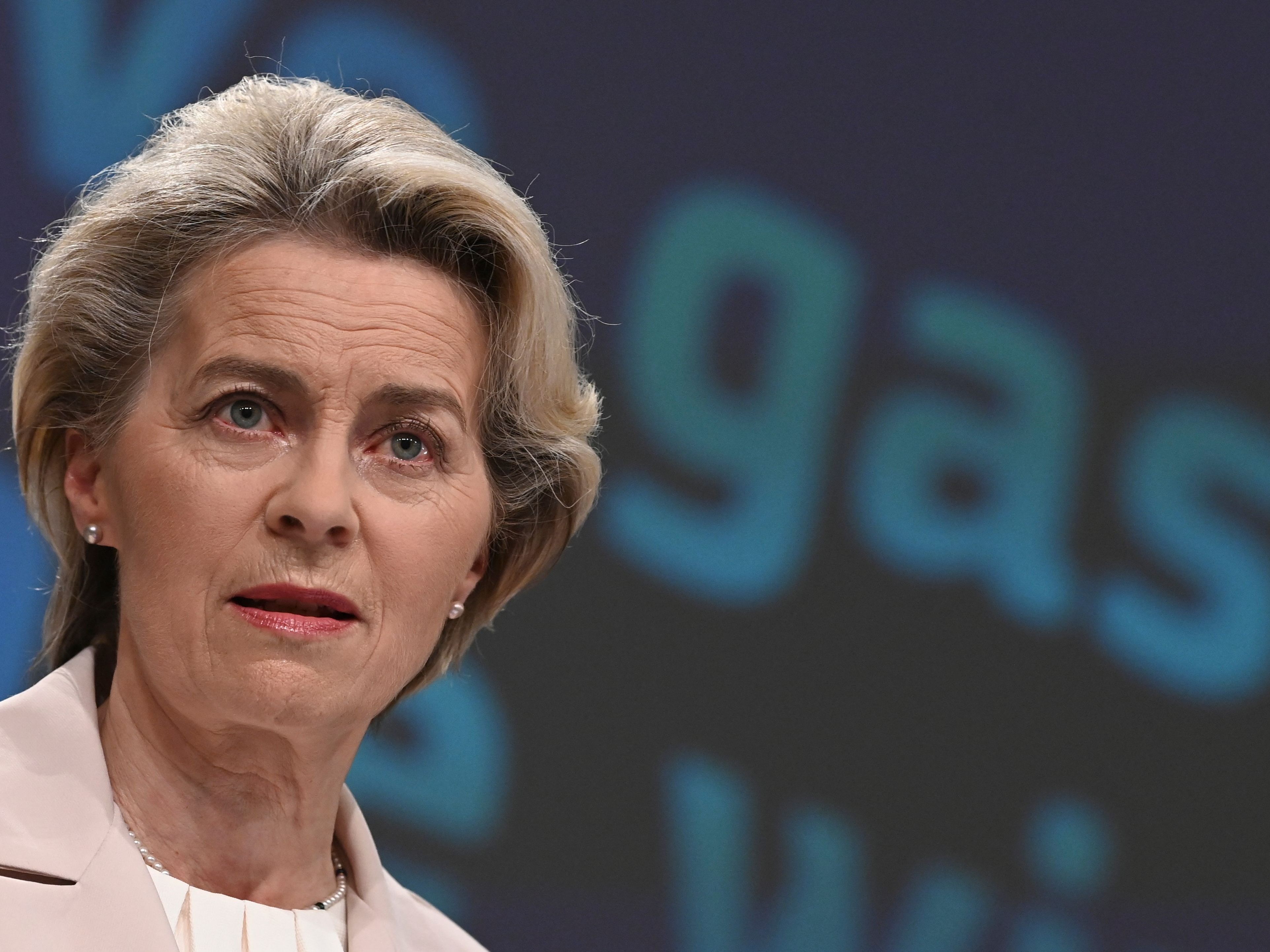 EU-Chefin Ursula von der Leyen. EU-Chefin Ursula von der Leyen.
