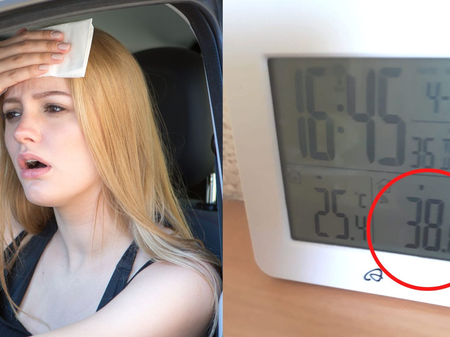 Das Ländle leidet unter der Hitze. Das Ländle leidet unter der Hitze.