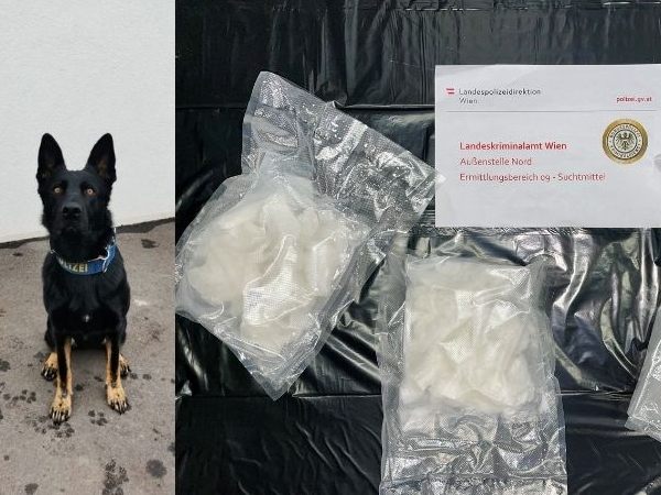 Polizeihündin "Domina" erschnüffelte Meth im Wert von 240.000 Euro. Polizeihündin "Domina" erschnüffelte Meth im Wert von 240.000 Euro.
