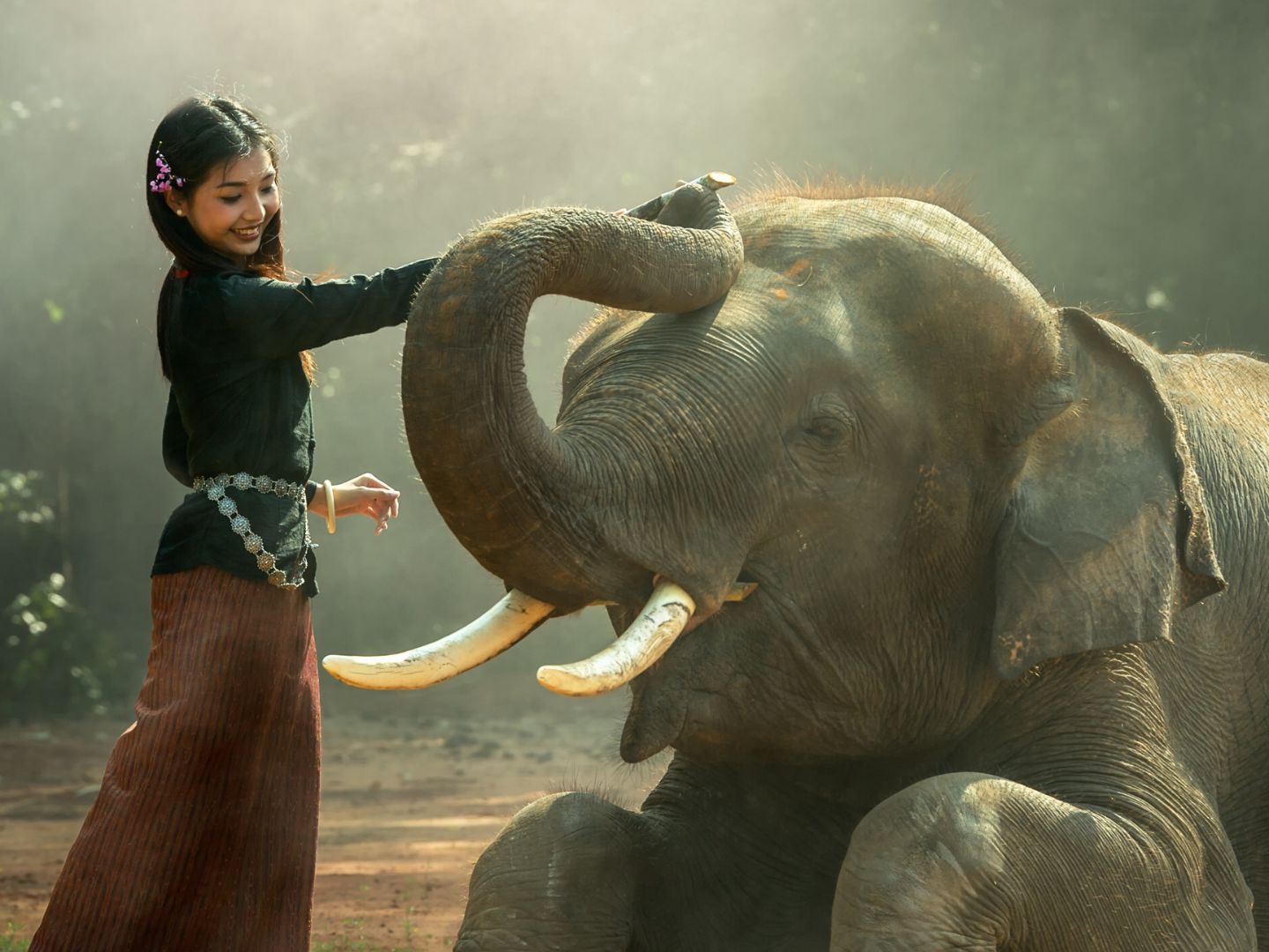 Mit der Rettungsaktion eroberte der Elefant die Herzen der Zoo-Besucher.
